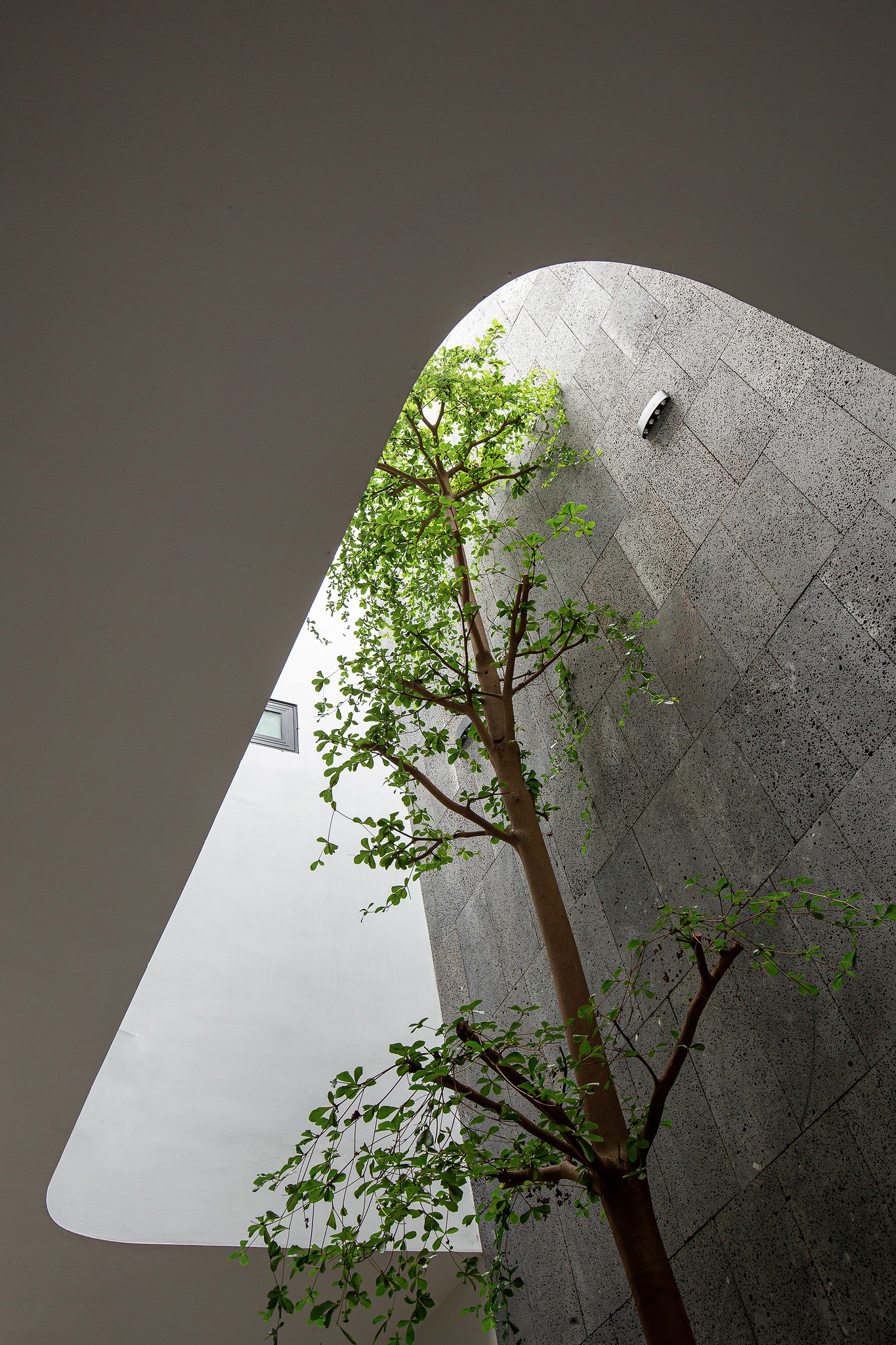 DVT Design | Hanoi
