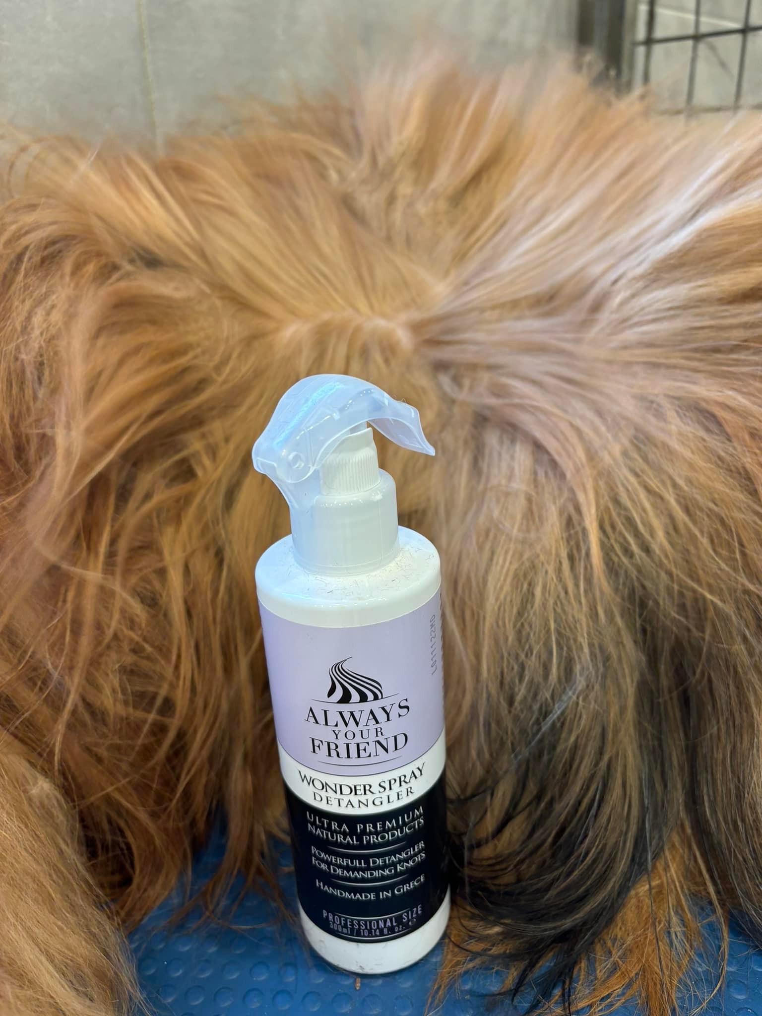 Huffish Grooming - Några veckor kvar till Jul! Badkampanj fram till den ...
