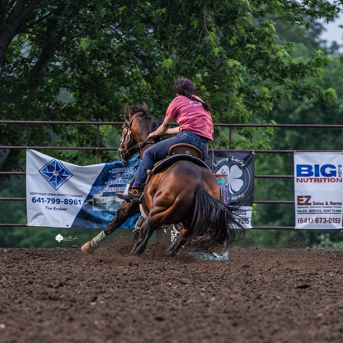Coolest stallion I know 🫶🏻... - Living Lucky Quarter Horses | Facebook