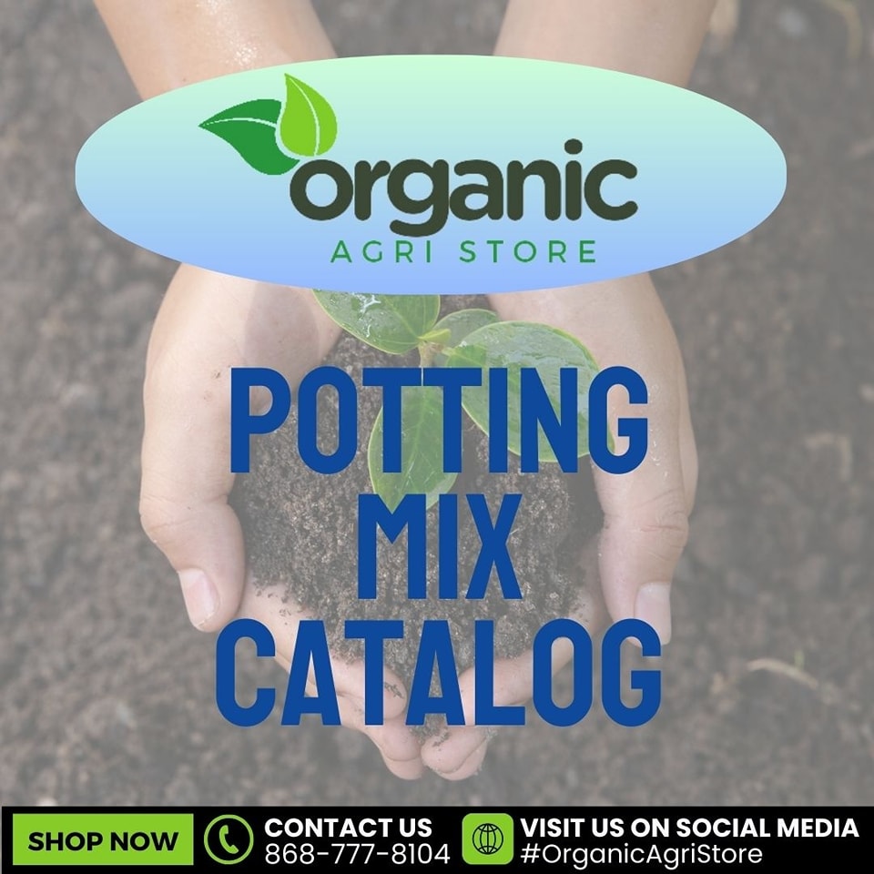 🌱🪴🌵 ORGANIC POTTING MIX 🌵🪴🌱 START... - Organic Agri Store | Facebook