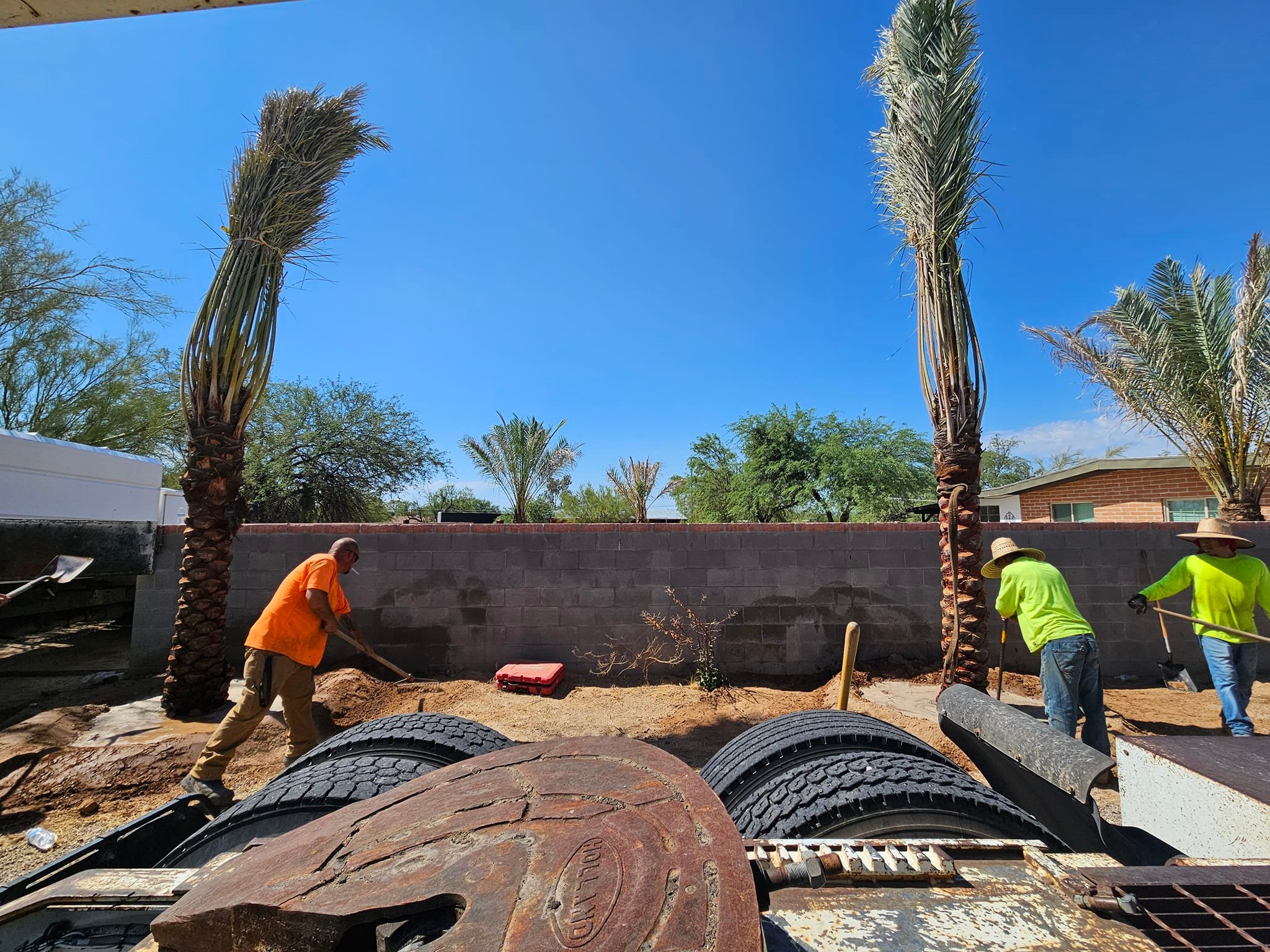 TC Tree Service LLC | Tucson AZ