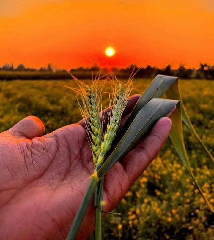 BaKhar Chandiha | Sheohar