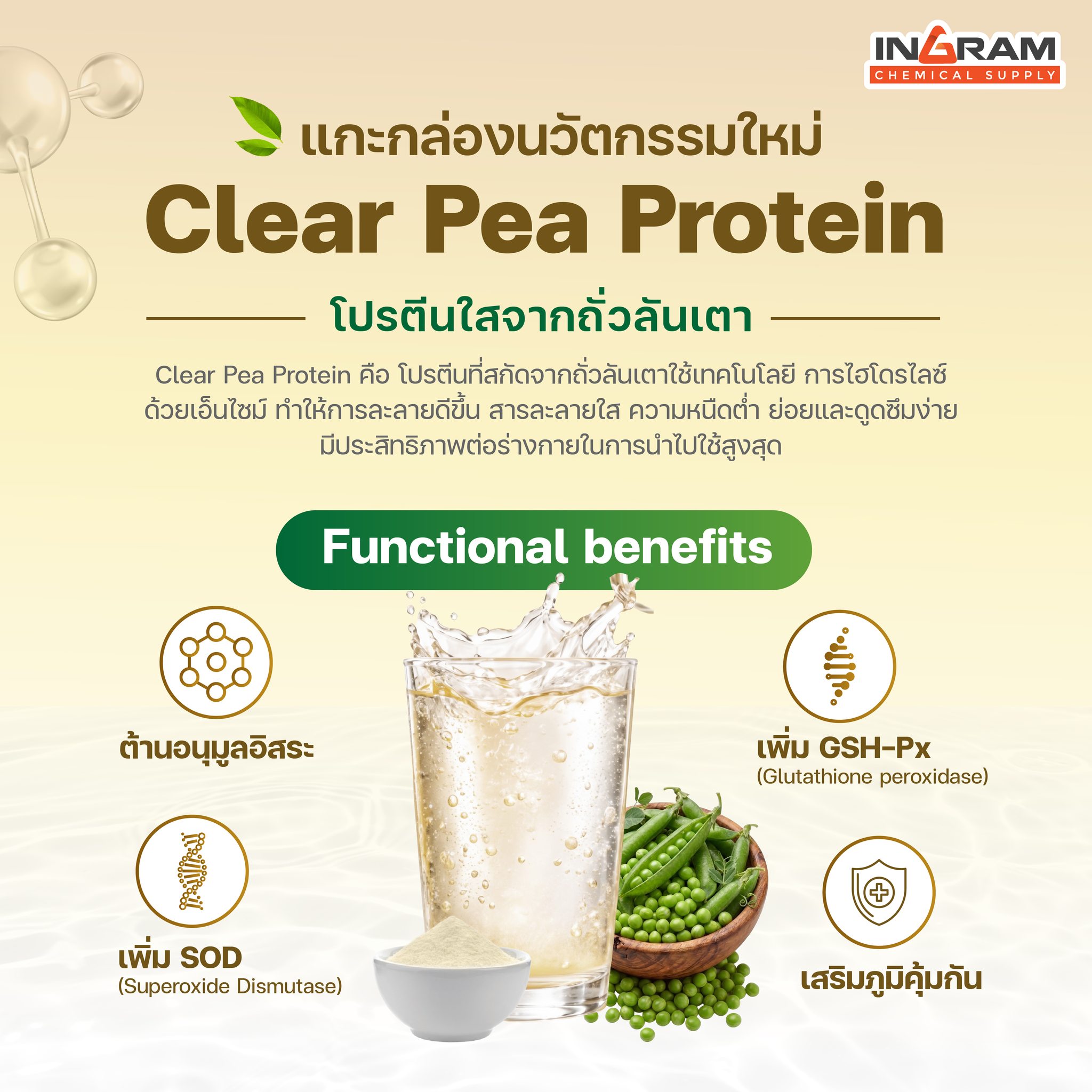 glutathione peroxidase gsh-px ค อ เบื่อไหม? กับการดื่มโปรตีนพืชแล้วรู้สึกฝืดคอแบบเดิมๆ เราจะพาทุกคนมารู้จักกับนวัตกรรมใหม่อย่าง 
