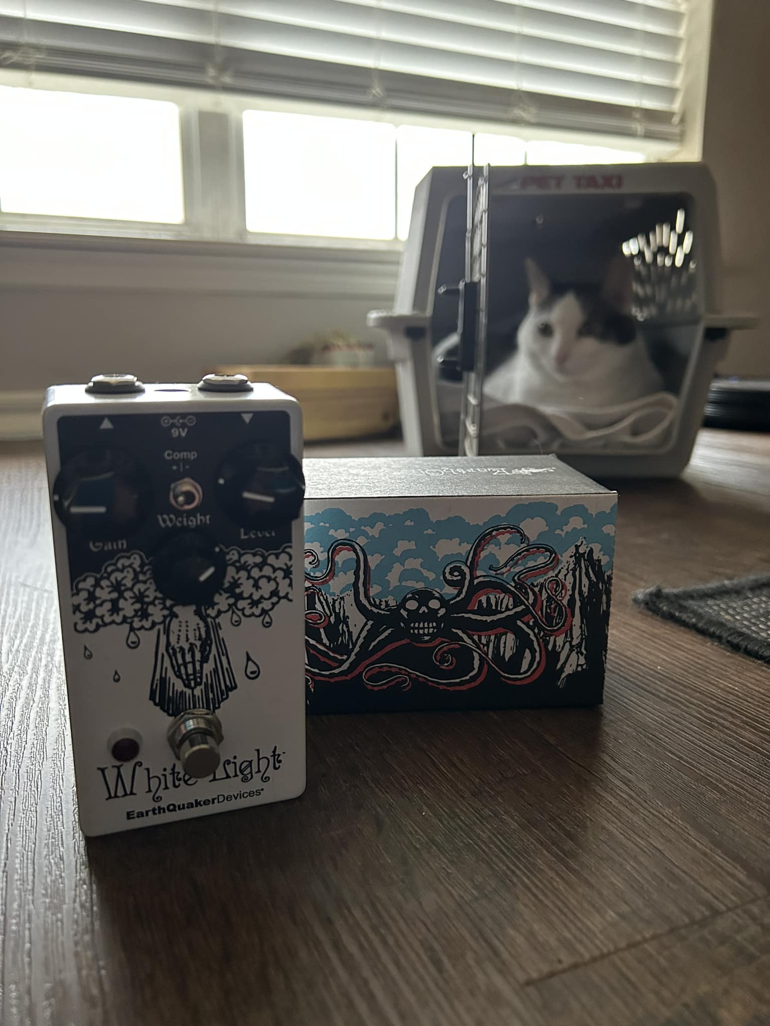 Earthquaker Devices White Light Reissue pedal review