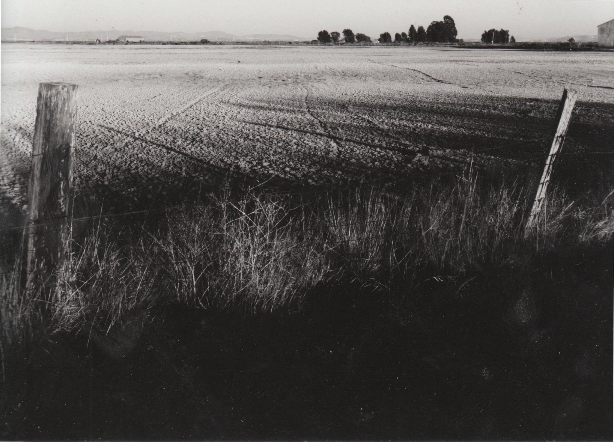 Eric Wik