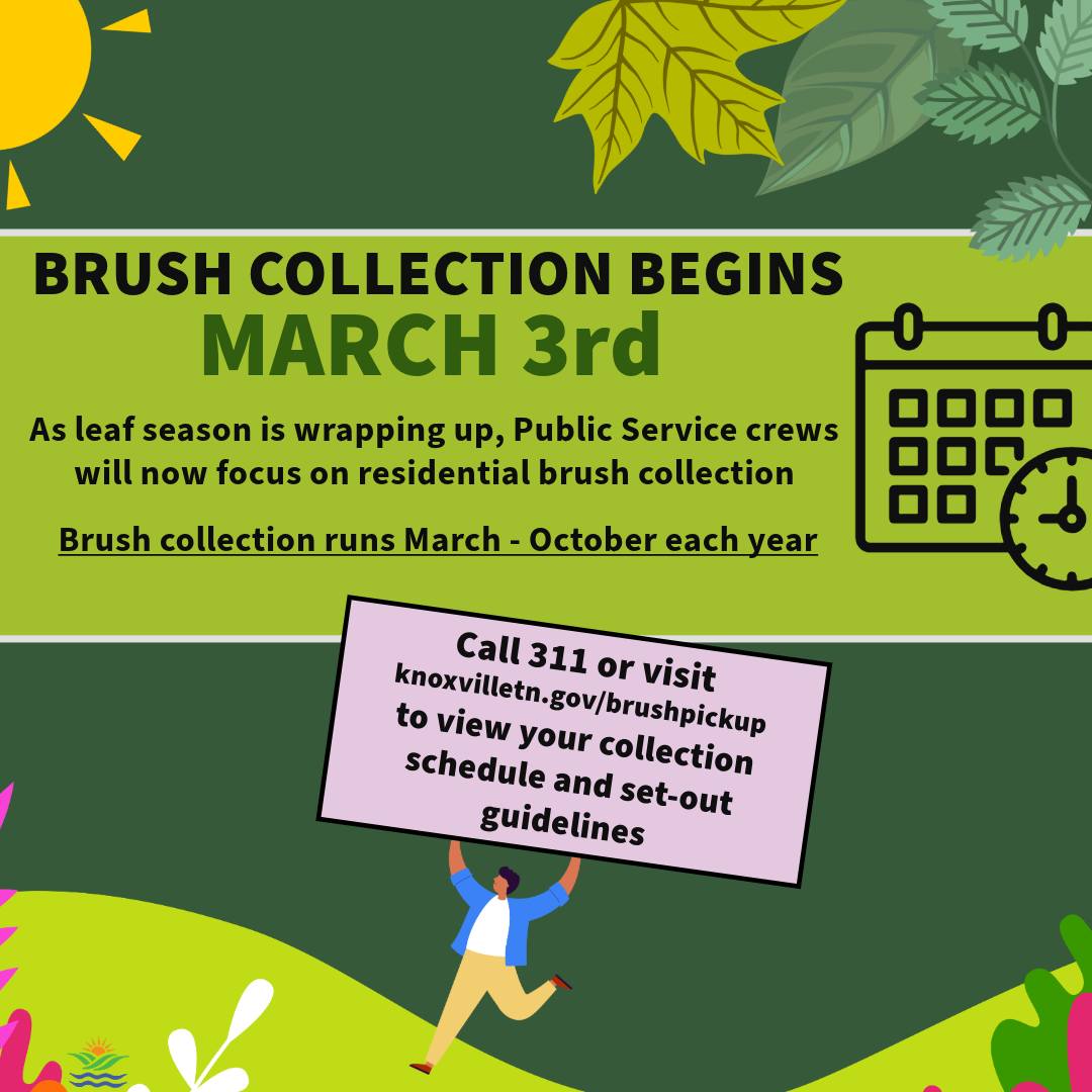 Brush pickup begins March... - City of Knoxville - Government | Facebook