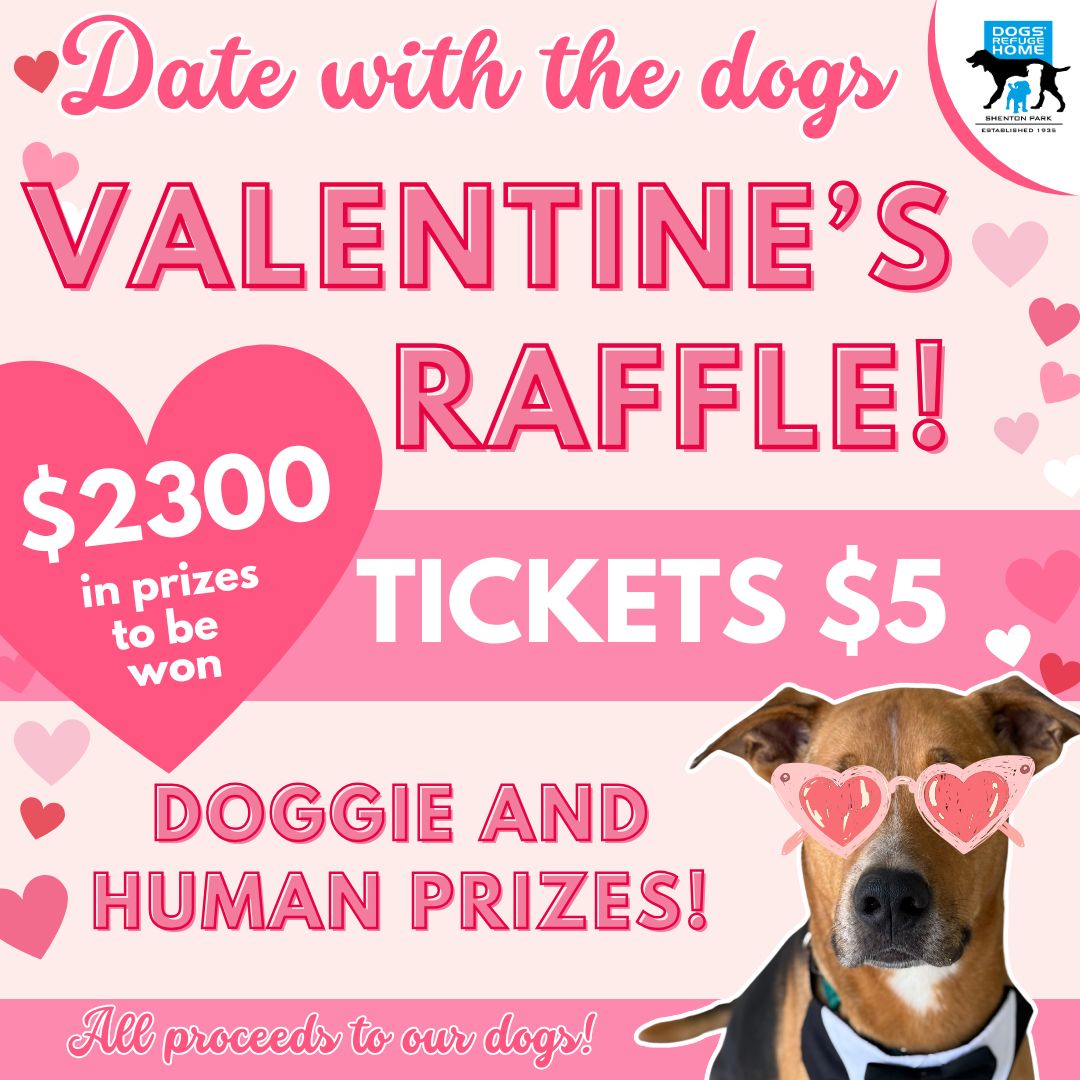 👇🥰 Valentines Day raffle... - Dogs' Refuge Home WA INC | Facebook