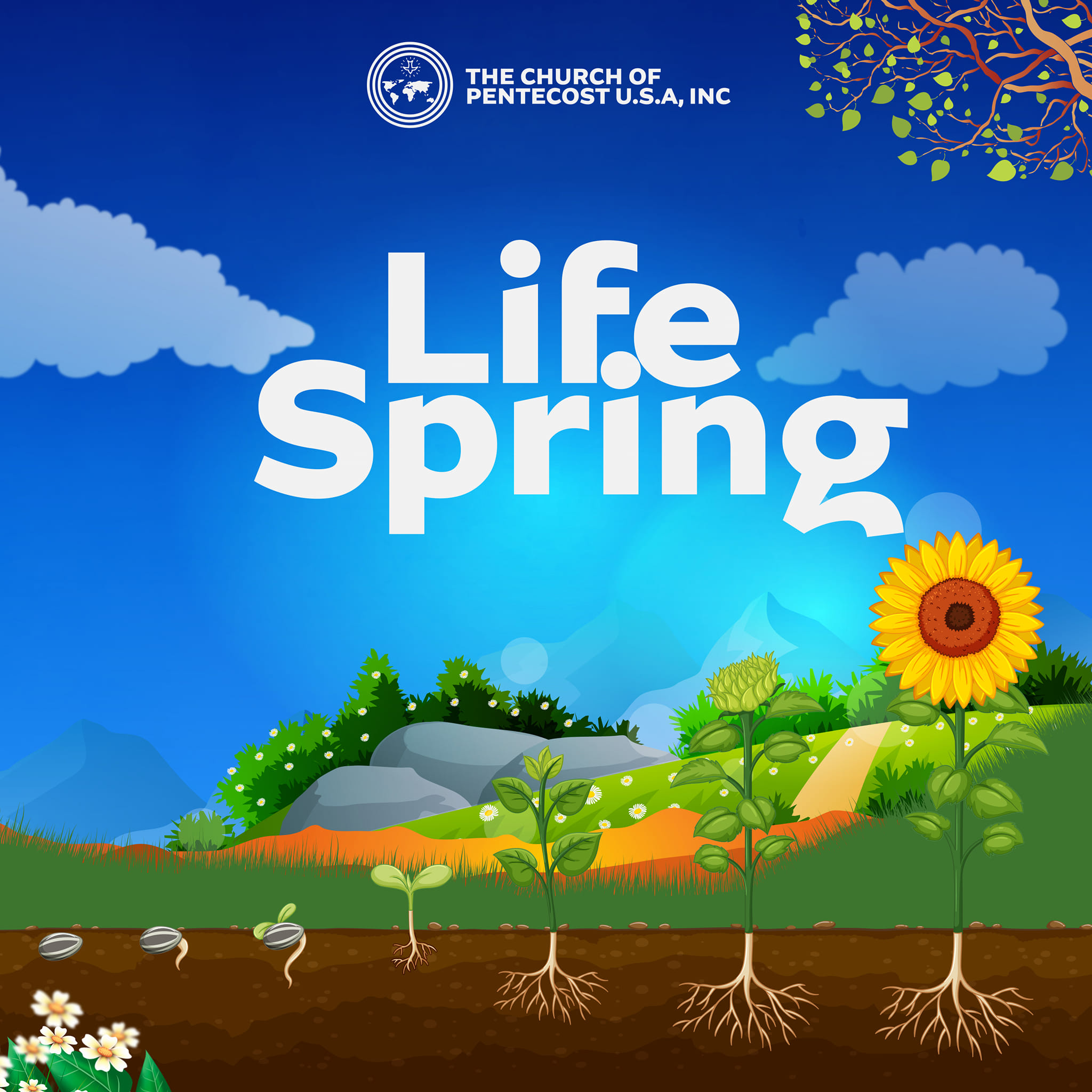 PIWC Life Spring | Springfield MO