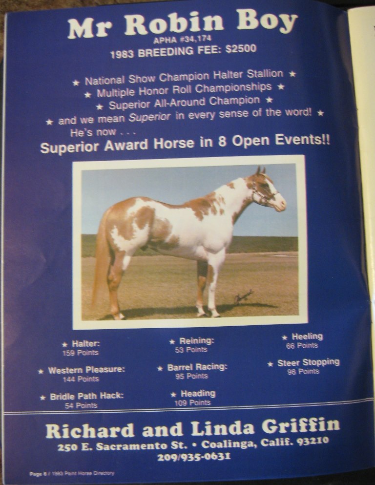 The Great Mr Robin Boy. Sire of many world champions in halter and
