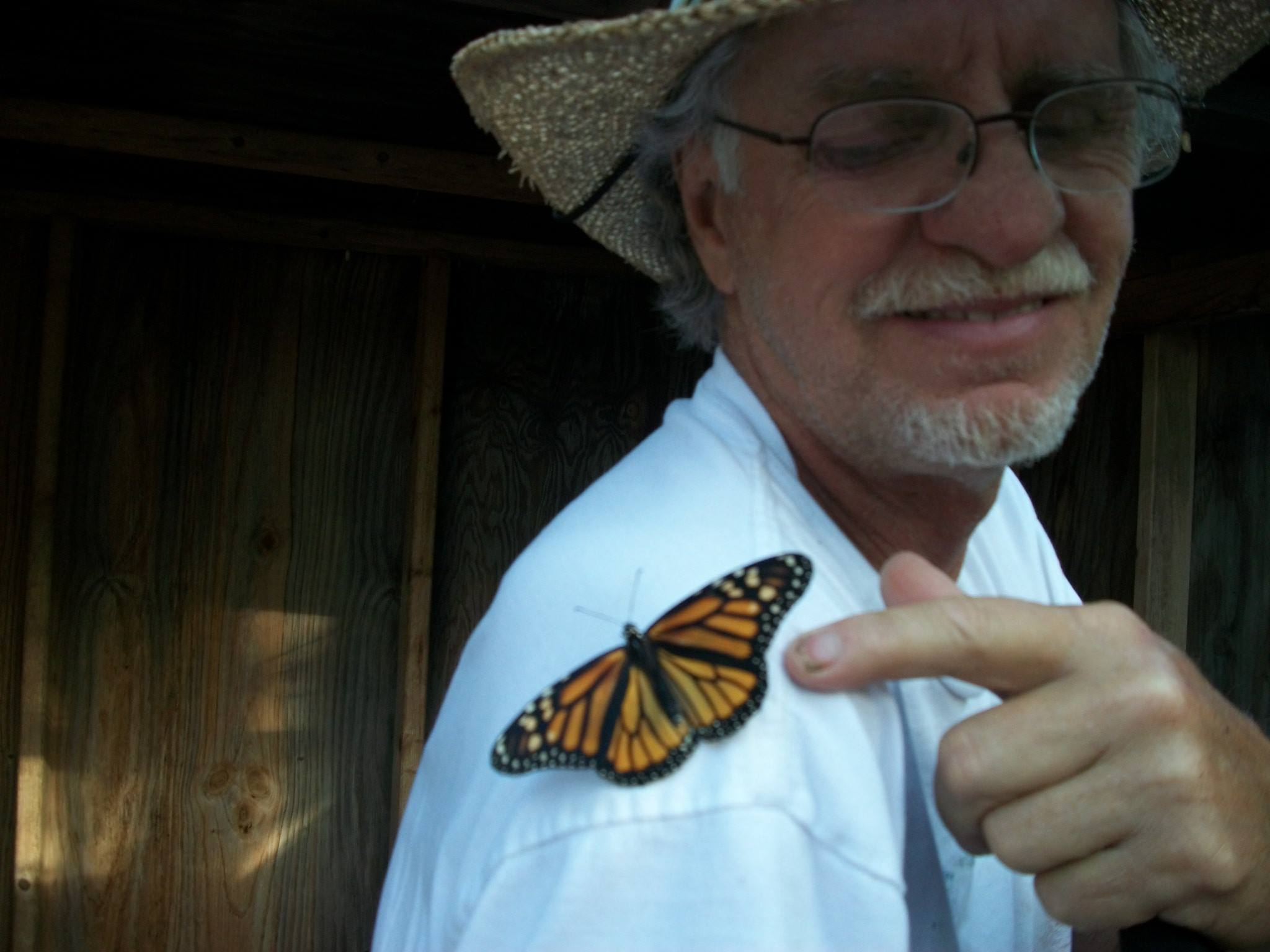 How to Raise Monarch Butterflies | Let's welcome our new members | Facebook