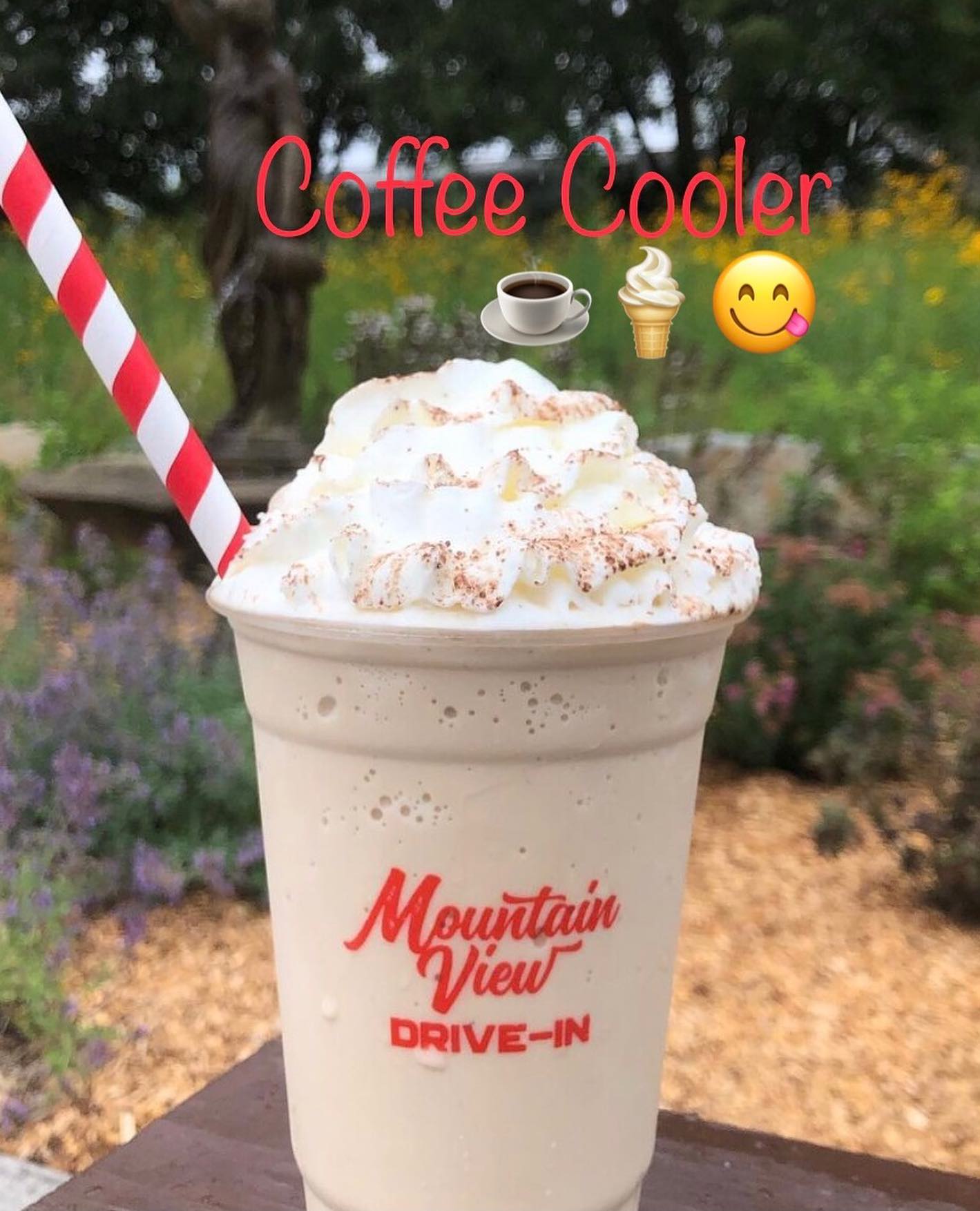 🥵☀️What refreshes on these... - Mountain View Family Drive-In