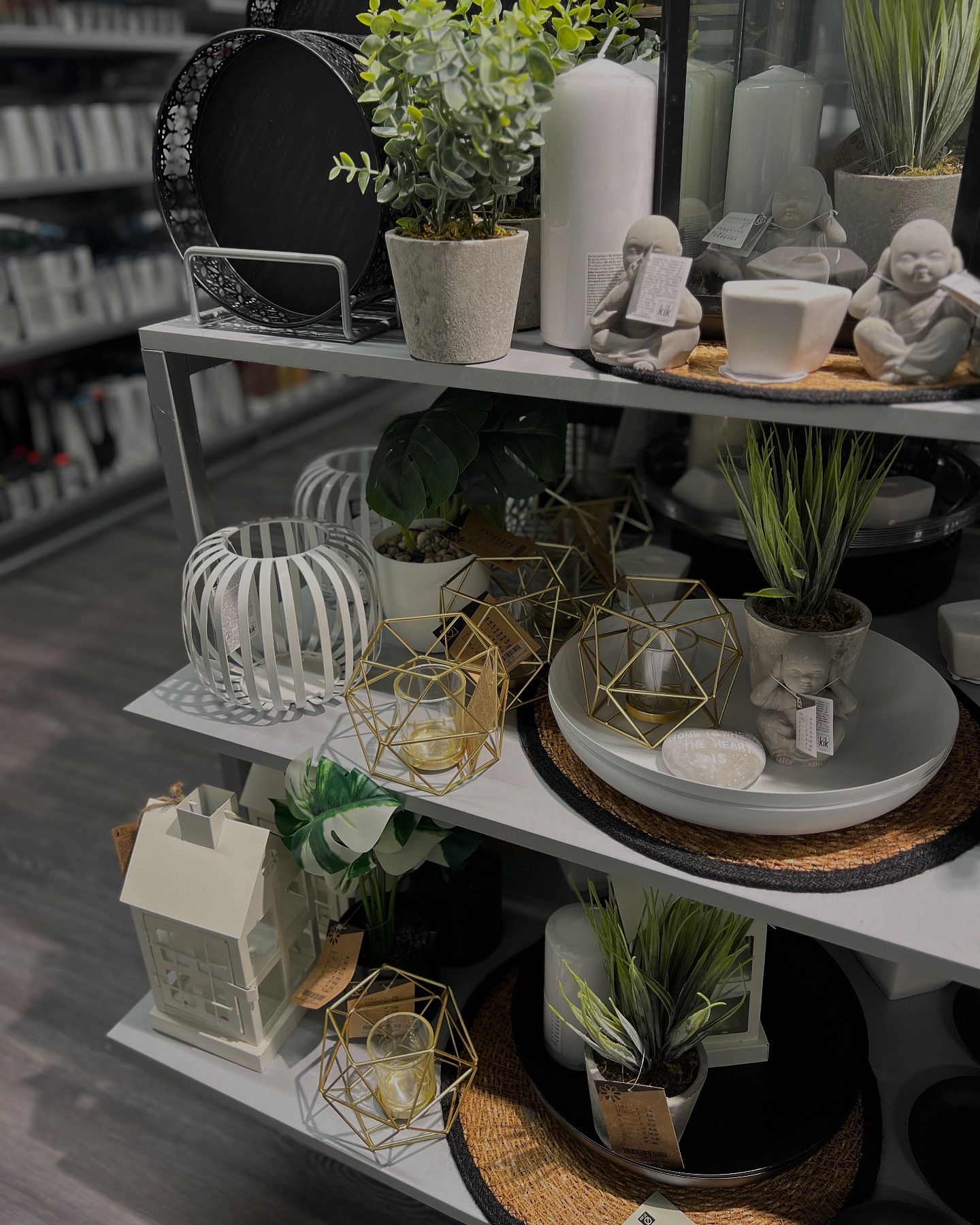 Es wird tropisch in unseren Filialen 🌴 Sichere dir jetzt wieder unsere Deko, um ein bisschen Dschungel-Feeling nach Hause zu holen ☀️ #mehralsdudenkst #sooovielmehralsdudenkst #deko #homedecor #dekoliebe #dekoration