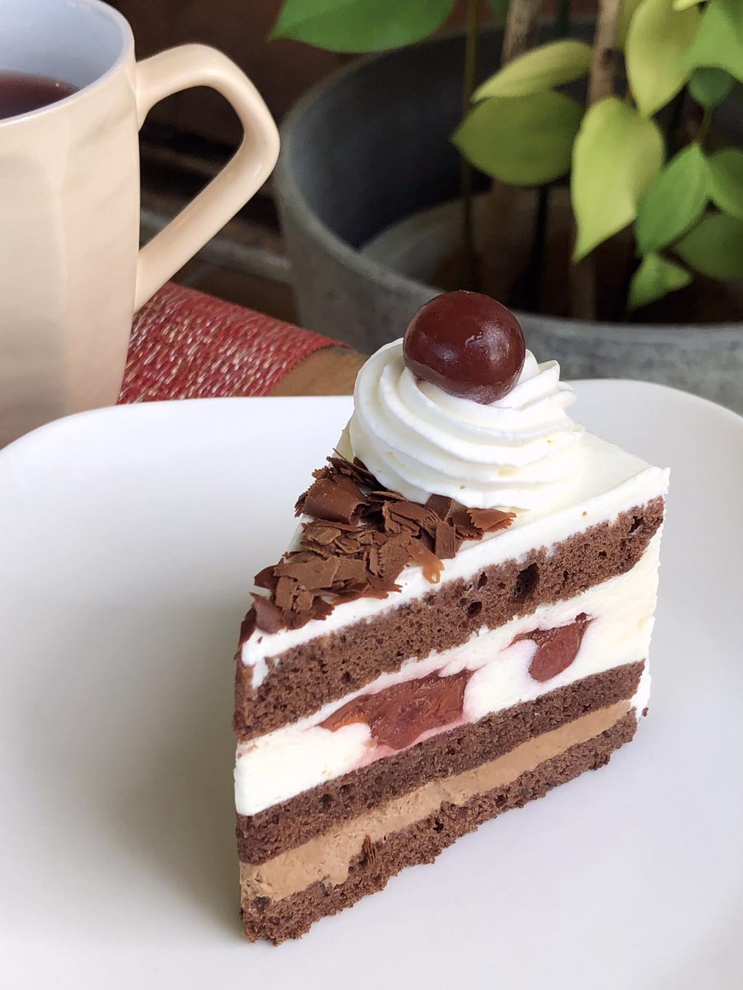 🍒ドイツのショートケーキは大きな一口でペロリ⁉😋「黒い森の