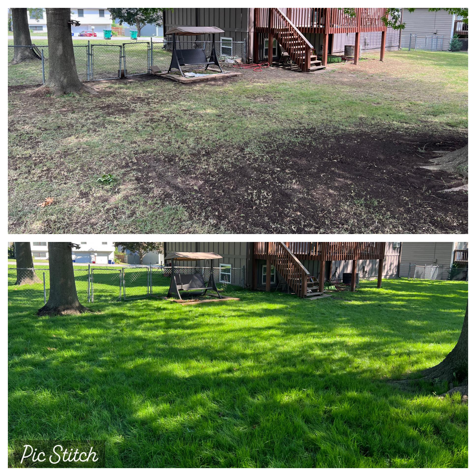 How to Enhance  Turf  Health Naturally thumbnail