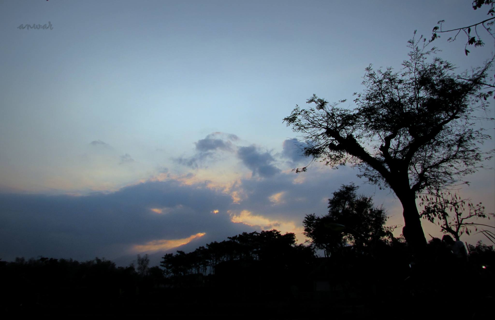 Mumed Photography | Facebook