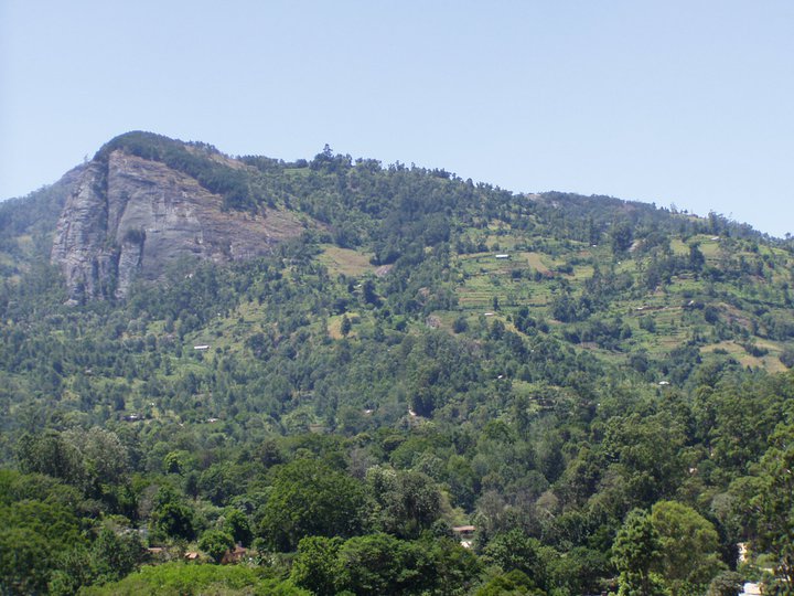Wundanyi constituents forum | Facebook