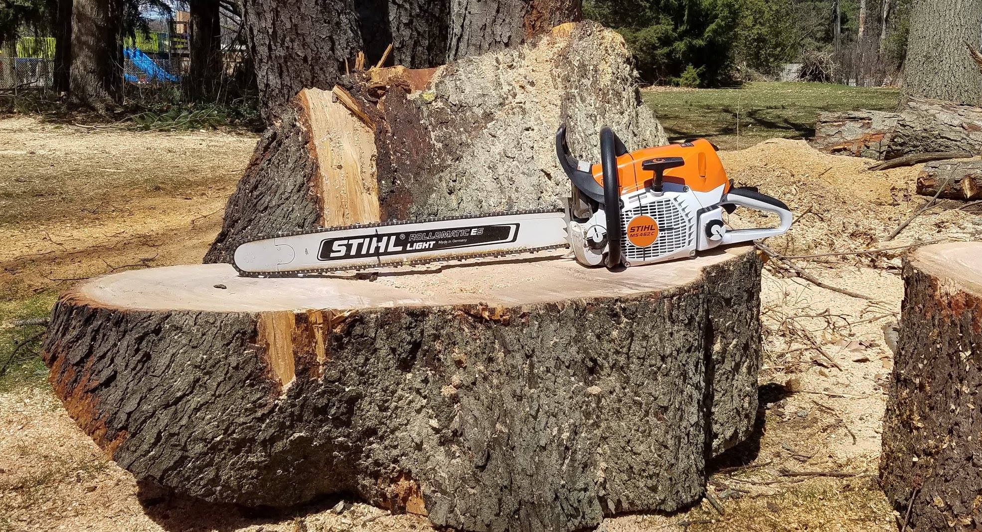 Specs for the STIHL MS 241, one of the smallest pro-level saws