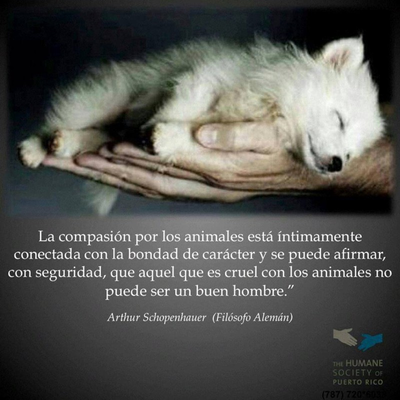 Costa Rica Dog Network | Hi, friends. My vet is saying that to bring my ...