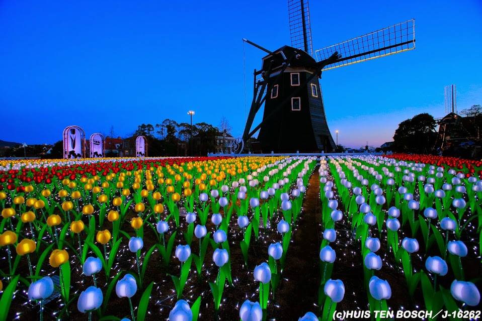 Like! JAPAN - The world first LED Tulip light-up in Huis...