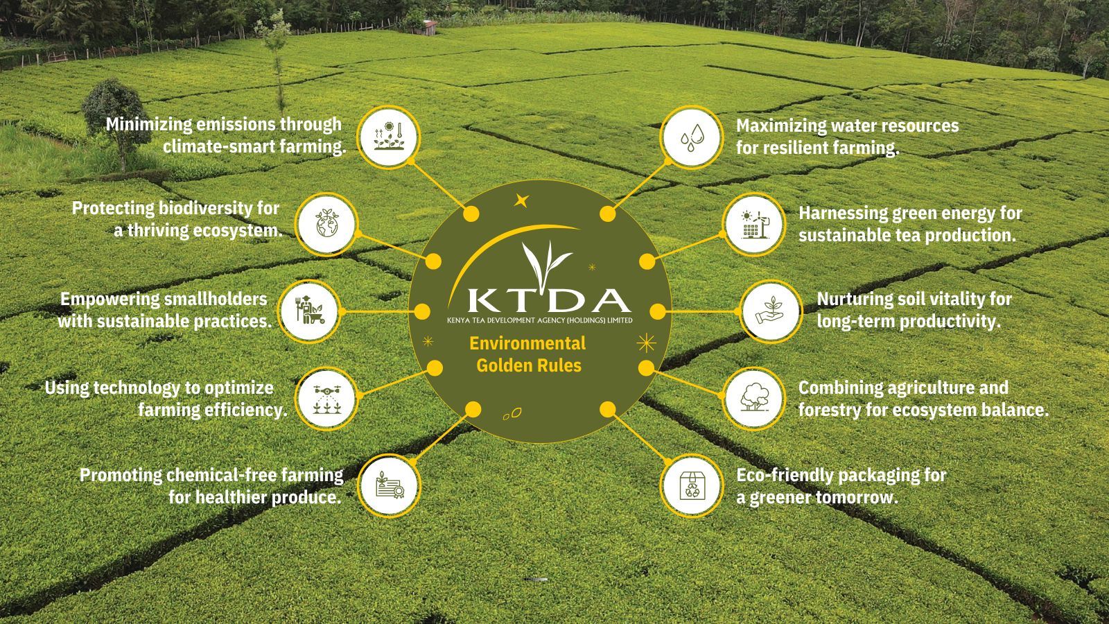 On this World Environment Day, we... - KTDA Holdings Limited | Facebook