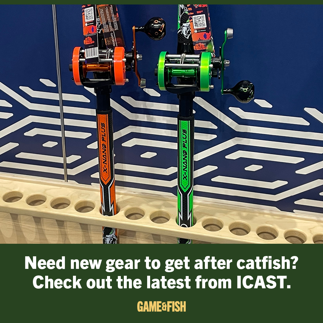 fireball festival reel big fish MaiTai Bluefish Fire Ball Rig – Grumpys Tackle lever-drag-reels Rigged:Lure only NEW UnderCover Guide Rattle