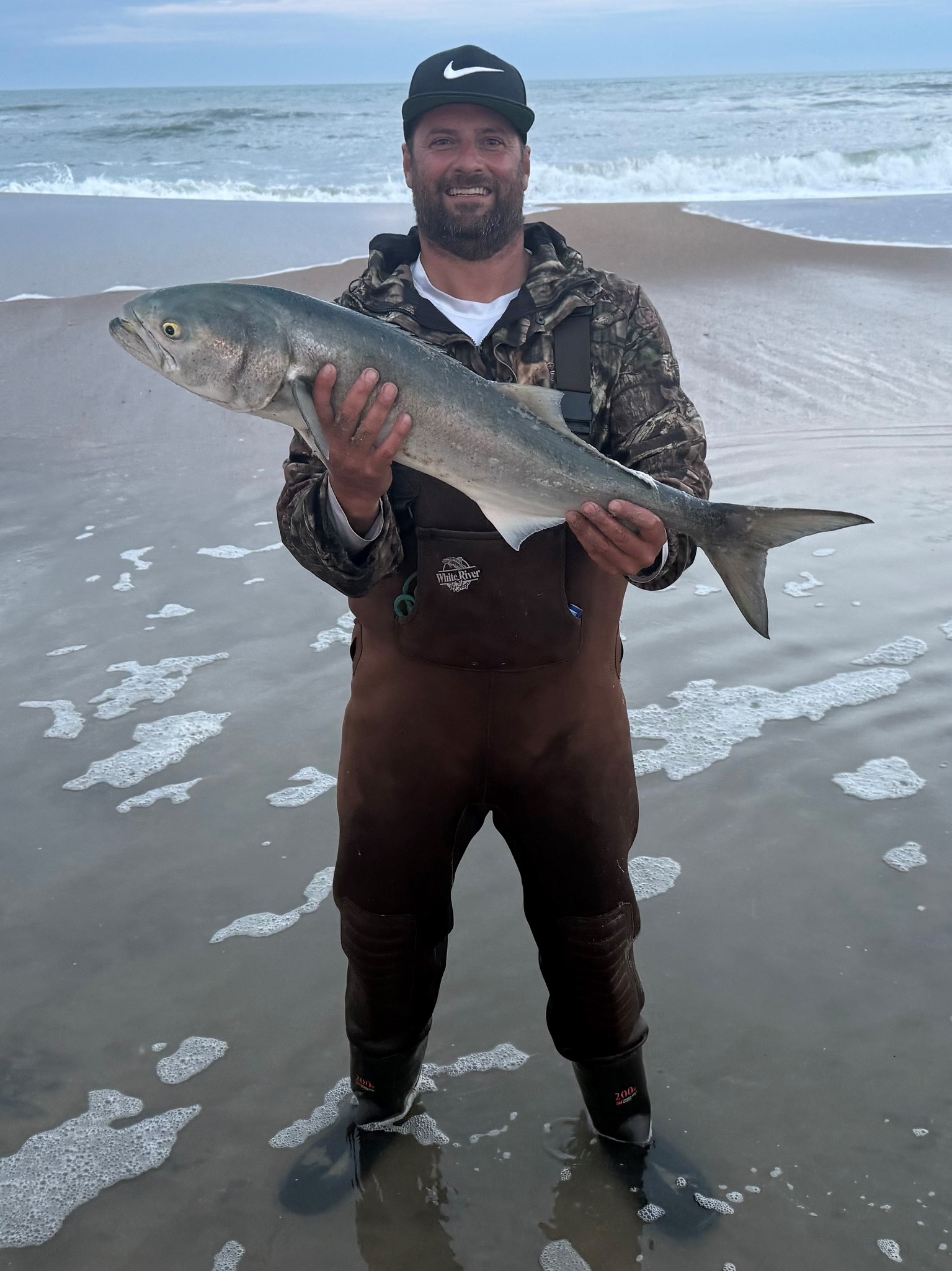 The bigger the better! Did you know Bluefish that are larger will