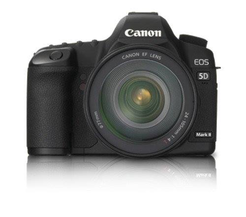 Canon 7D Mark II with 24-105mm lens