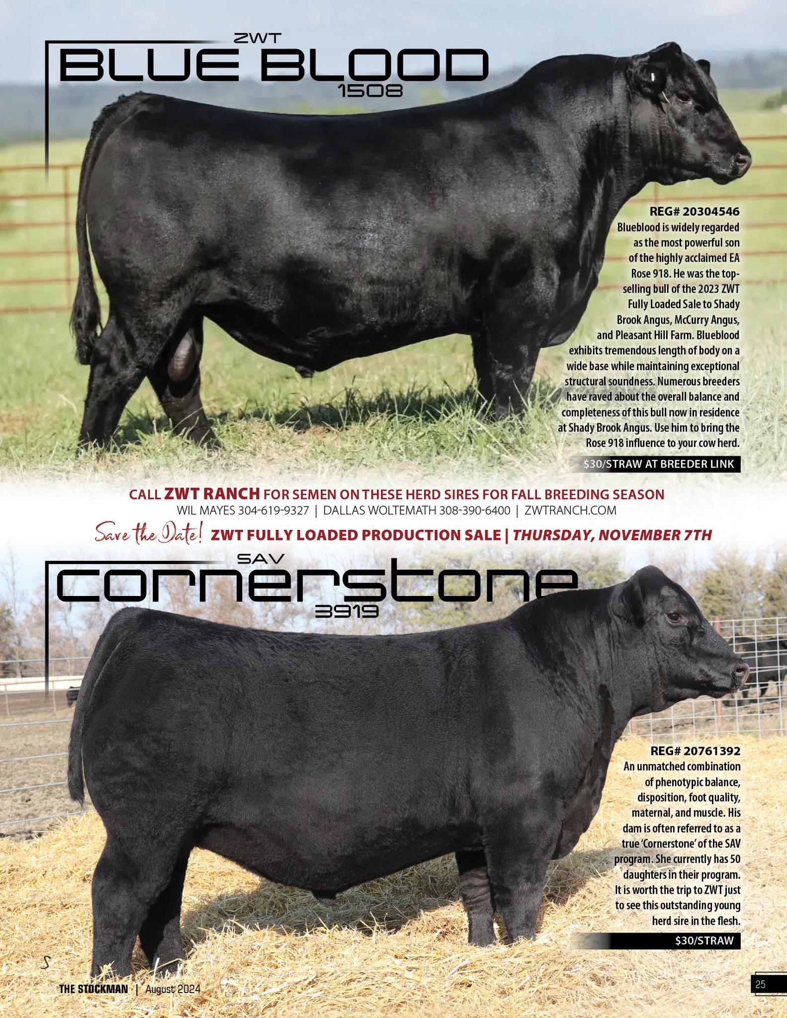 The Stockman - ⭐️Bull Feature - ZWT RANCH HERD SIRES⭐️...
