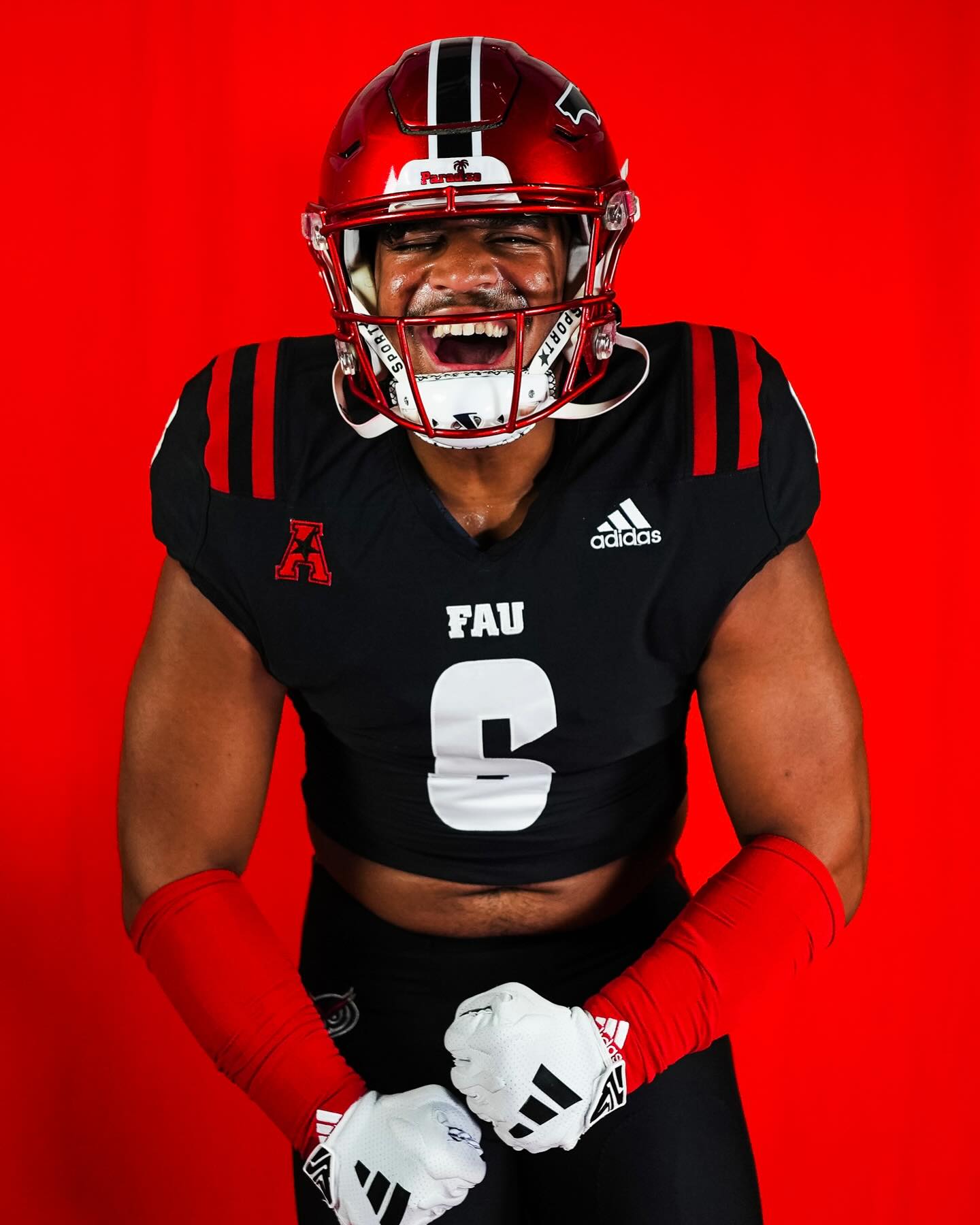 fau football helmet Florida Atlantic Owls Speed Mini FAU Smoke Unis  UNISWAG