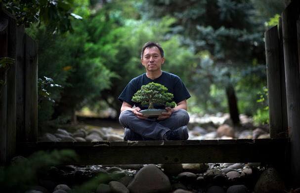 Bonsai Boon | One of the coolest in the wild Bonsai trees I have ever ...
