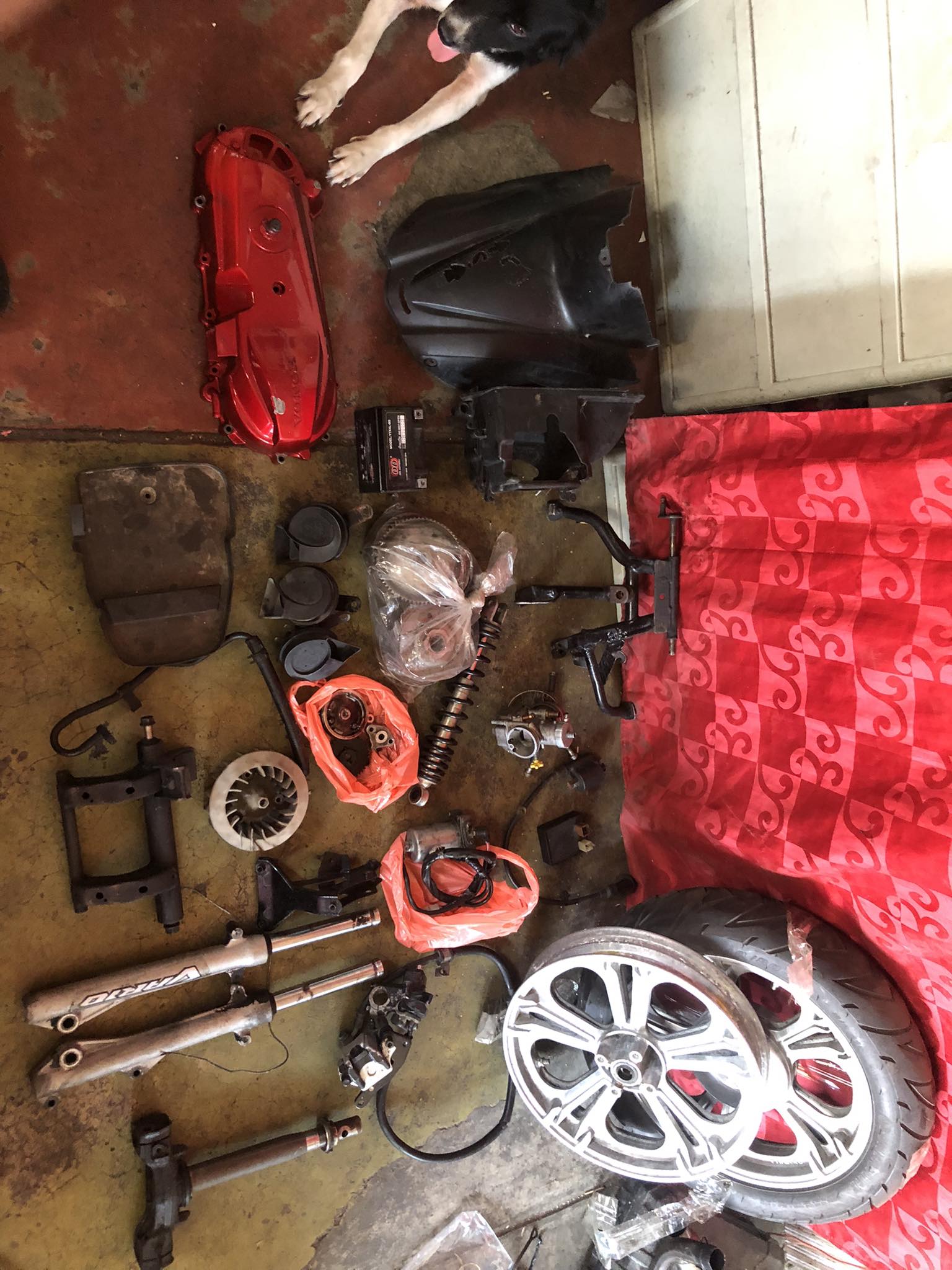 Parts out !!!!!! Crankcase cover 1k Pia horn 300 Battery 300