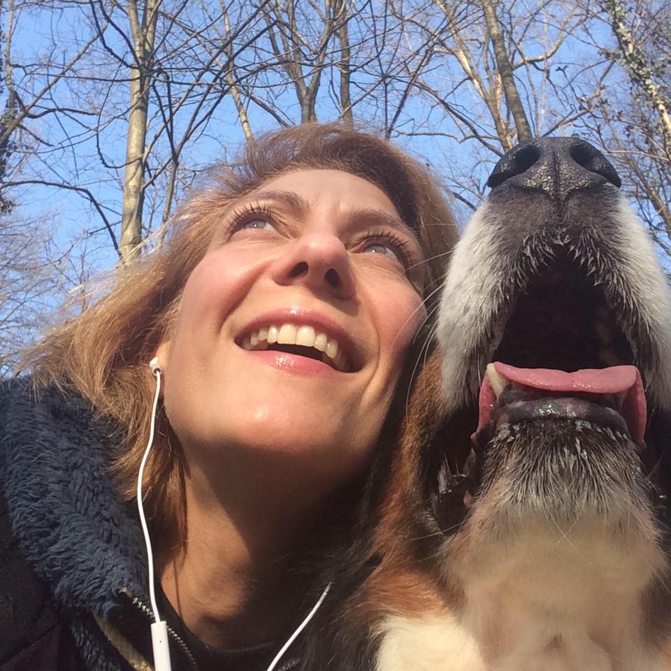 OTITI RICORRENTI Sai cos’è l’otite nel cane ? Sai da cosa è dovuta ...