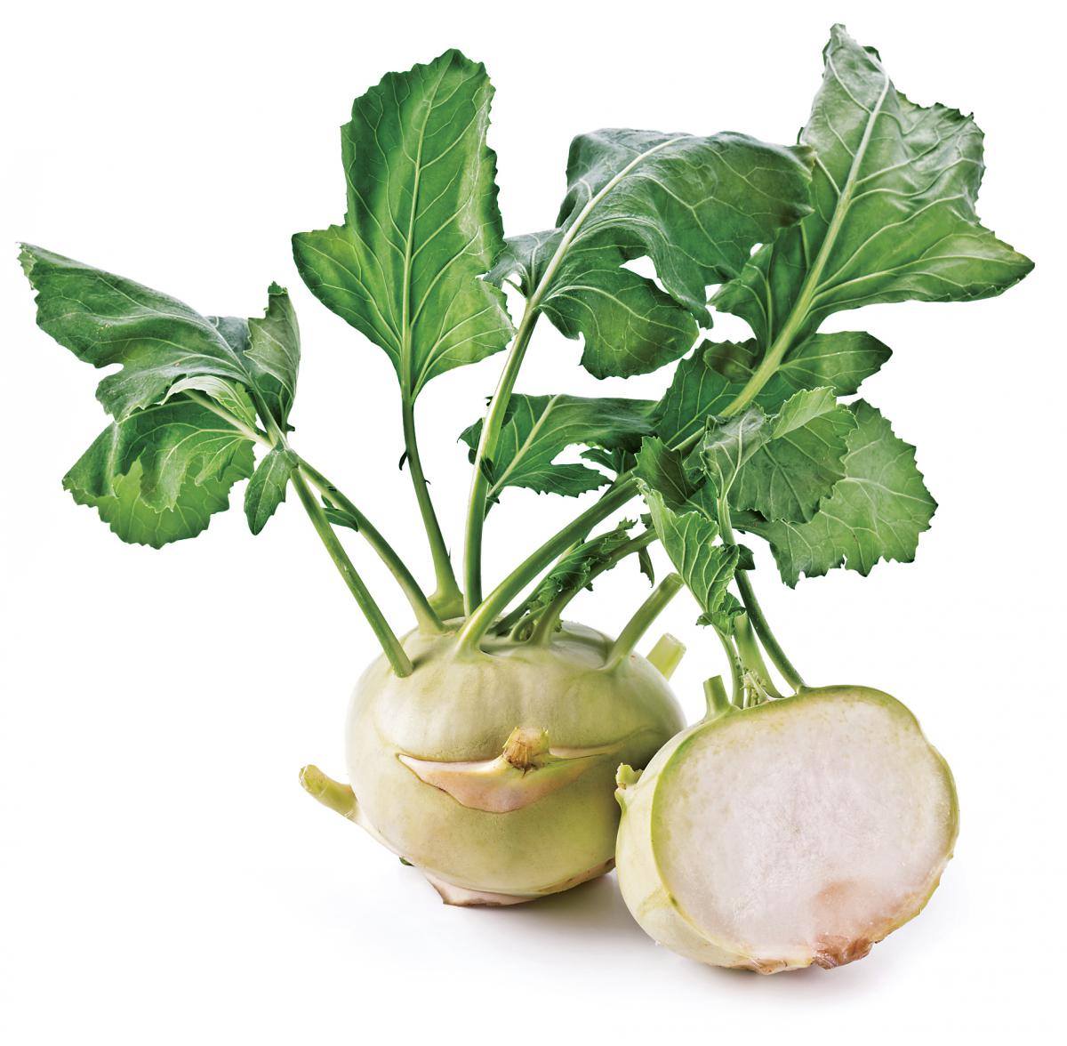 Undiscovered Treasure of Green Juice! RECIPE-->http://www.explorehealthyfood.com/undiscovered-treasure-green-juice/ Kohlrabi grows above ground unlike their closest relatives beets. It is extremely mild flavor, is rich in vitamin C and B1, iron and fiber