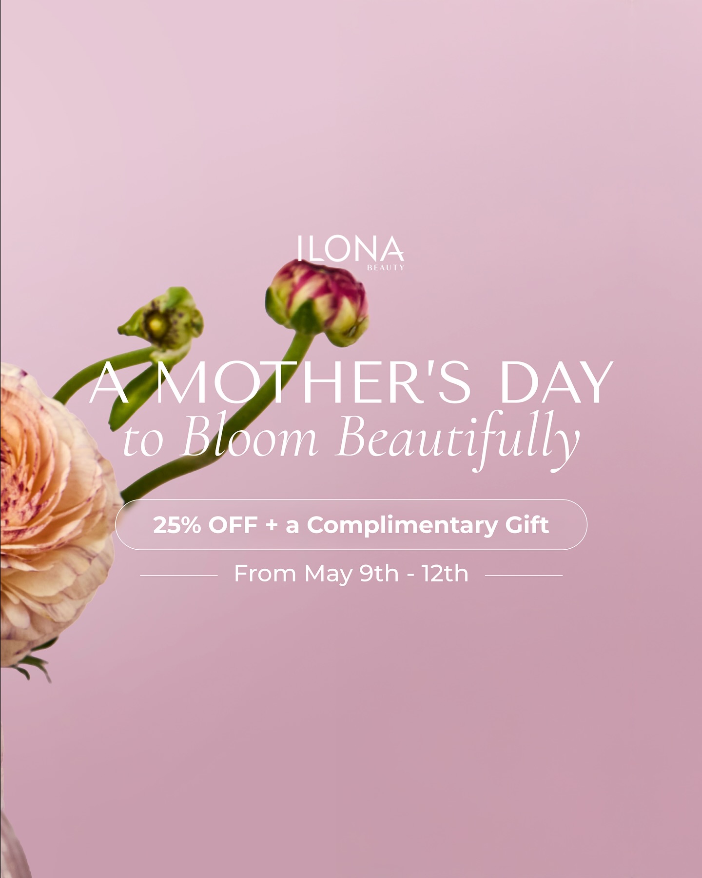 ILONA Beauty - As seen in Harper’s Bizarre! Take your skin to new highs ...