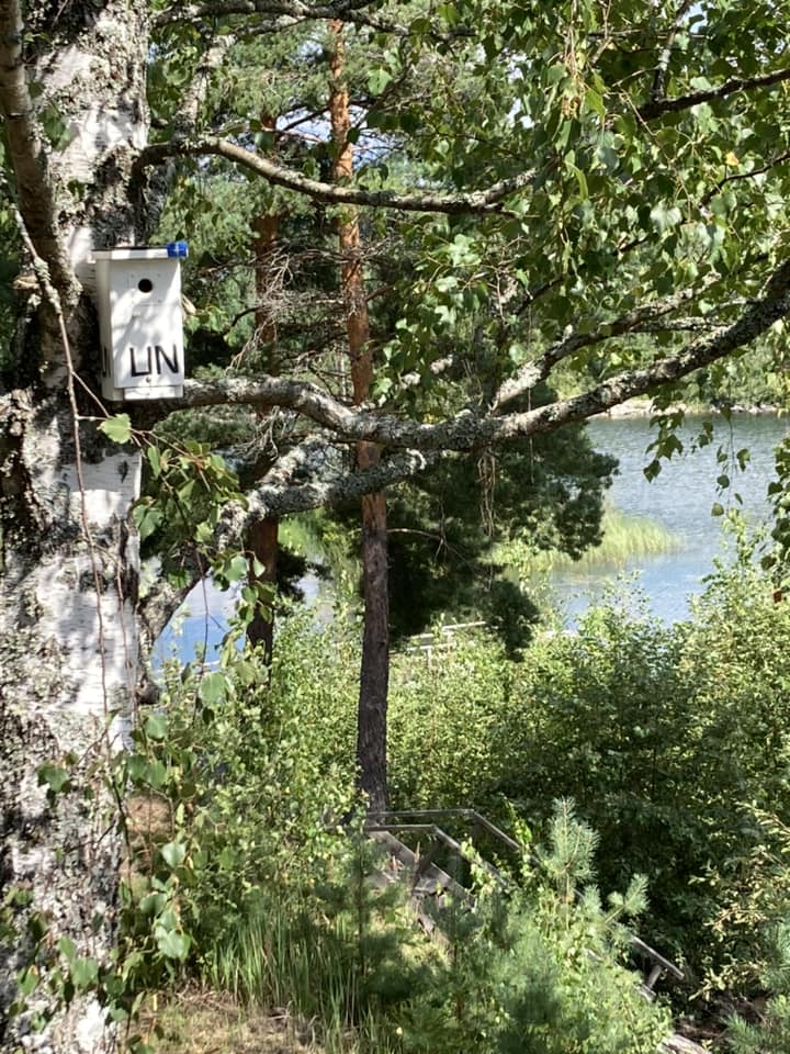 saunaparoni-oy-masku