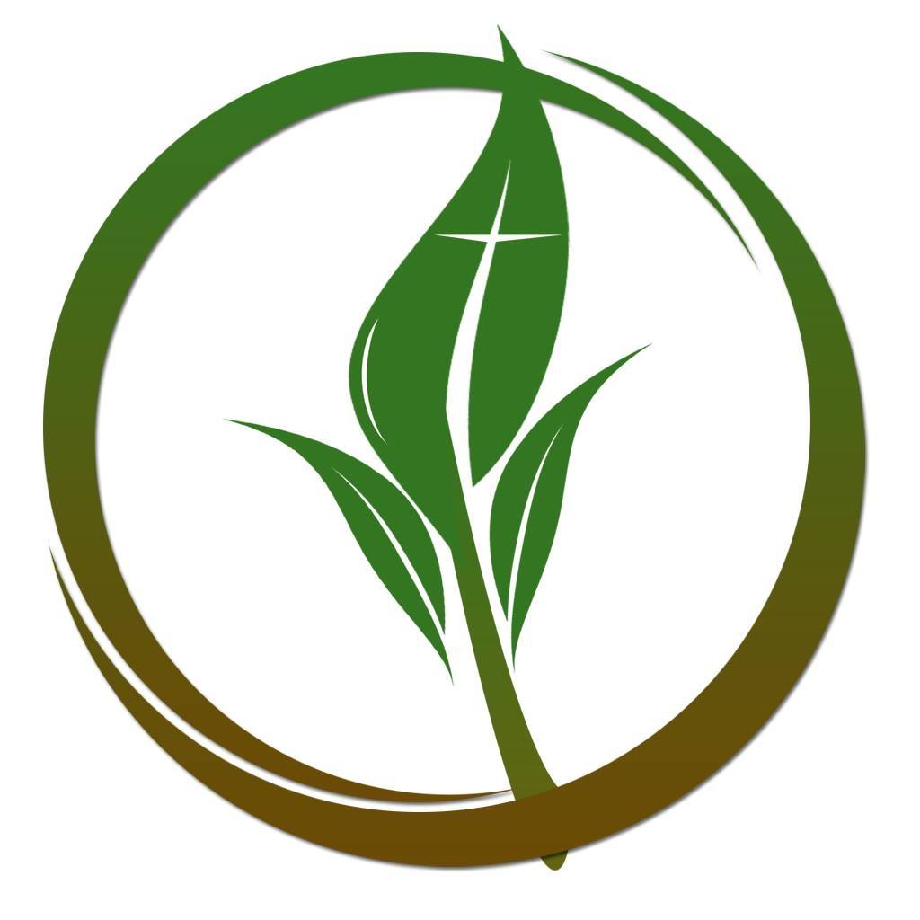 'Tis the season to be REVIVED! Macedonia NewLife has been REVIVED ...