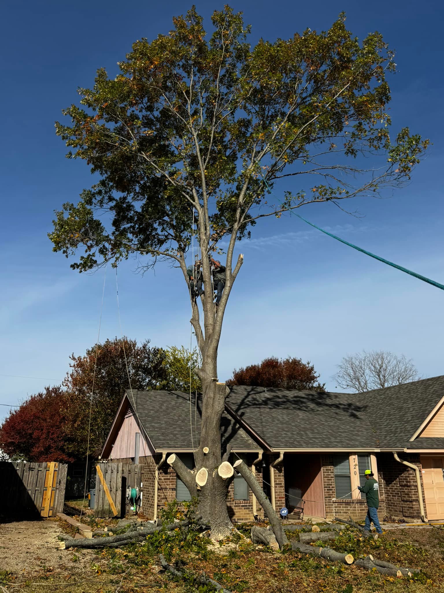 Advanced Tree Services | Burleson TX