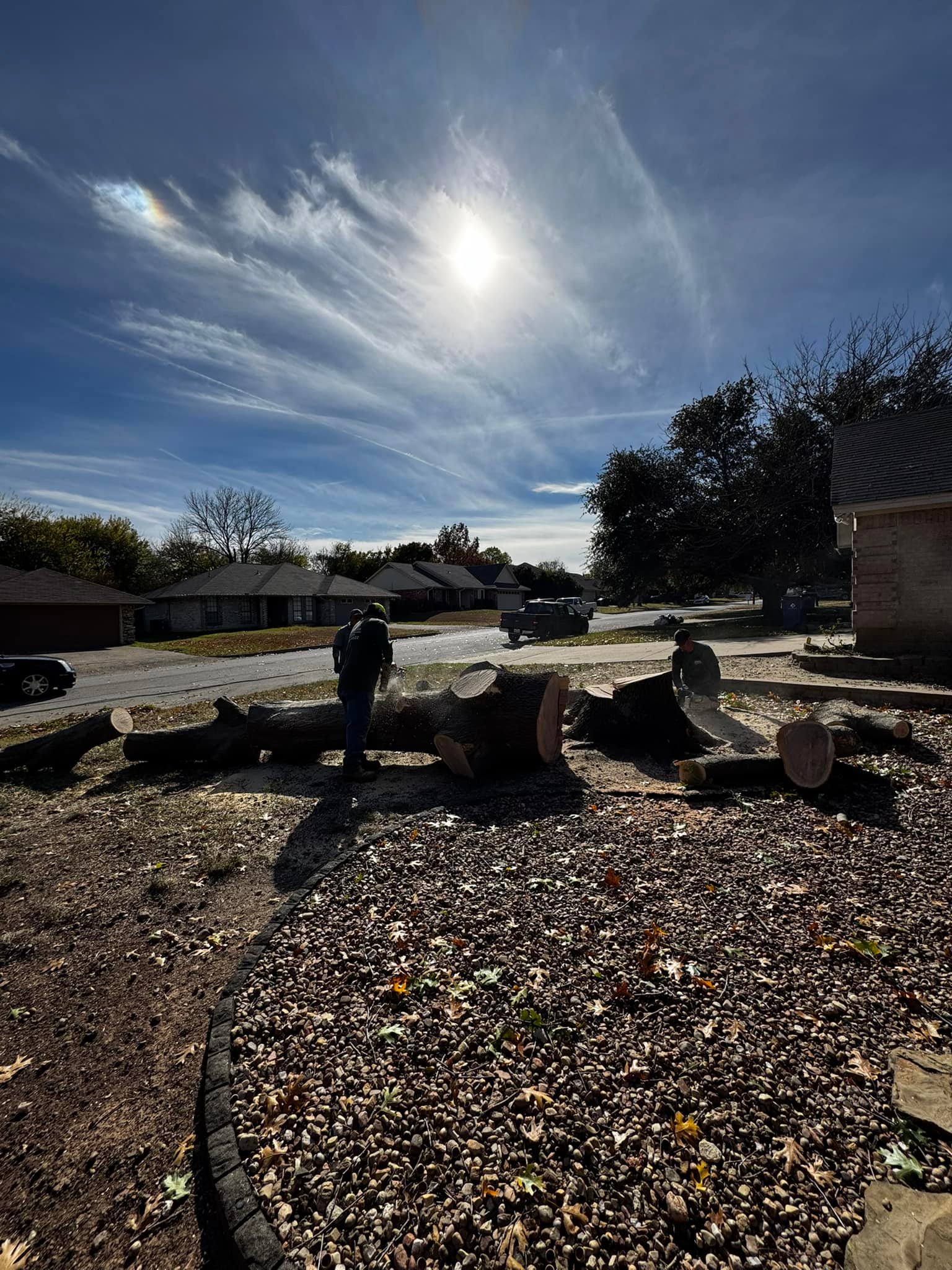 Advanced Tree Services | Burleson TX