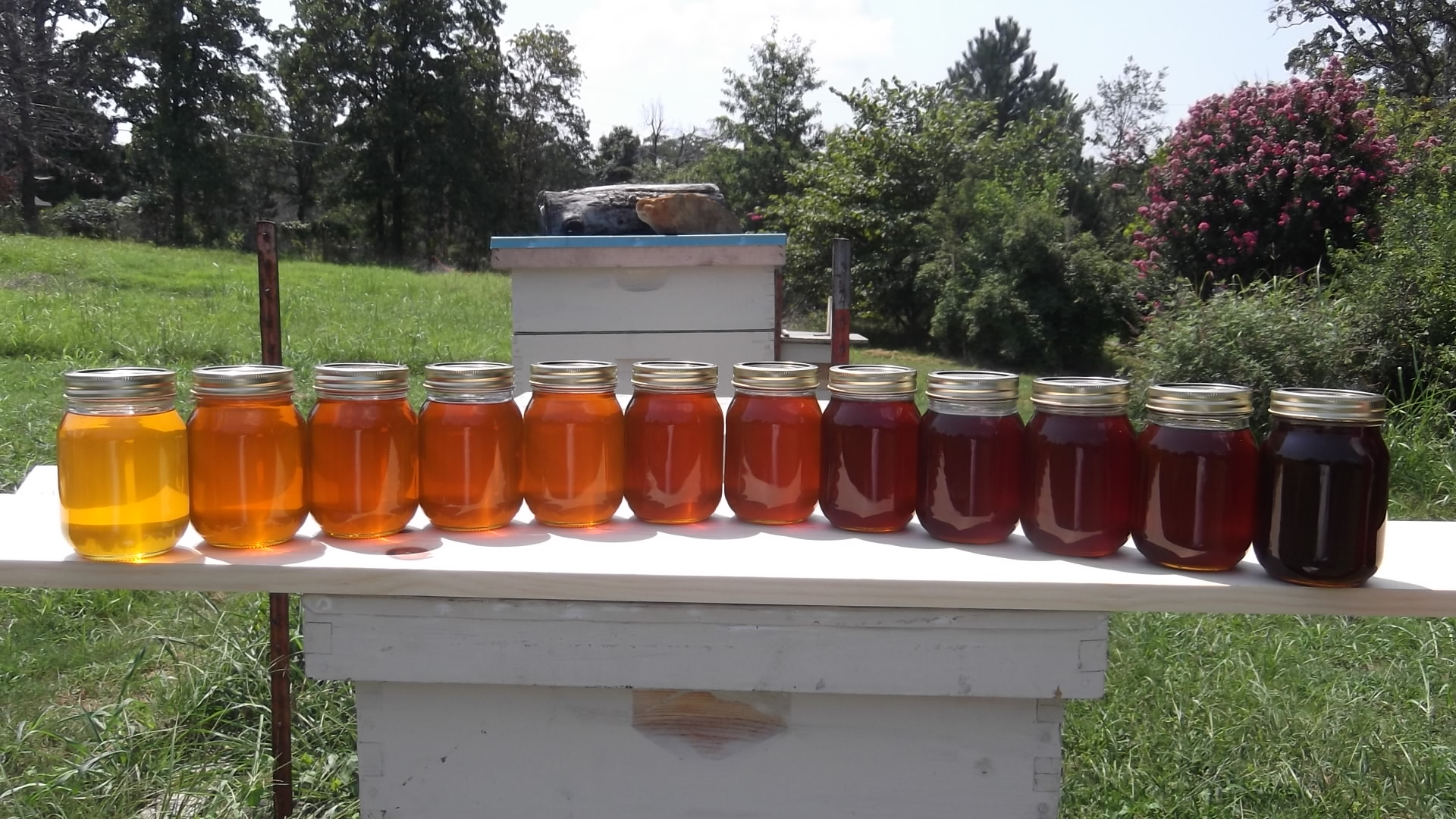 NEOBA Hive | Facebook