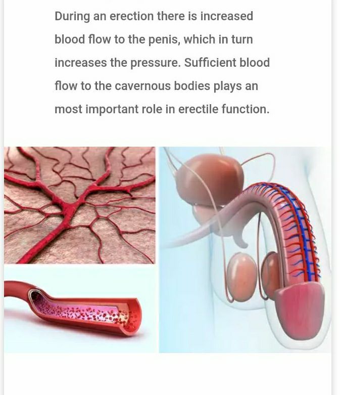 ipamorelin penis Intracavernous injection of platelet-rich plasma reverses erectile dysfunction of chronic cavernous nerve degeneration through reduction of prostate hyperplasia evidence from an **aging-induced erectile dysfunction rat model](https://faseb Weight:100mg L-Glutatione Liposomiale Complex نامبوزين تون اب صن سيروم