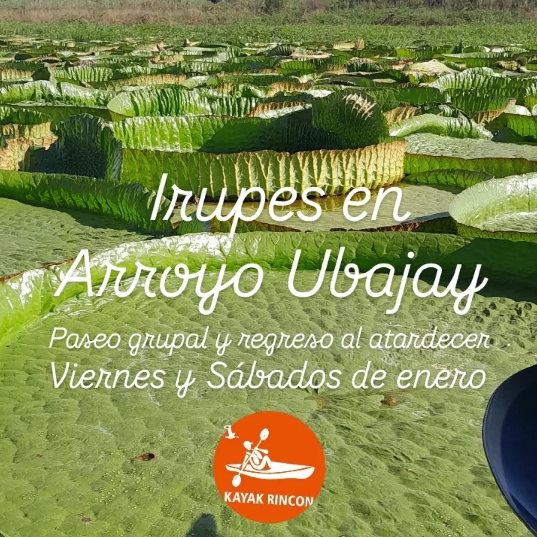 KayakRincon - Visitamos los Irupe y después de compartir un hermoso ...