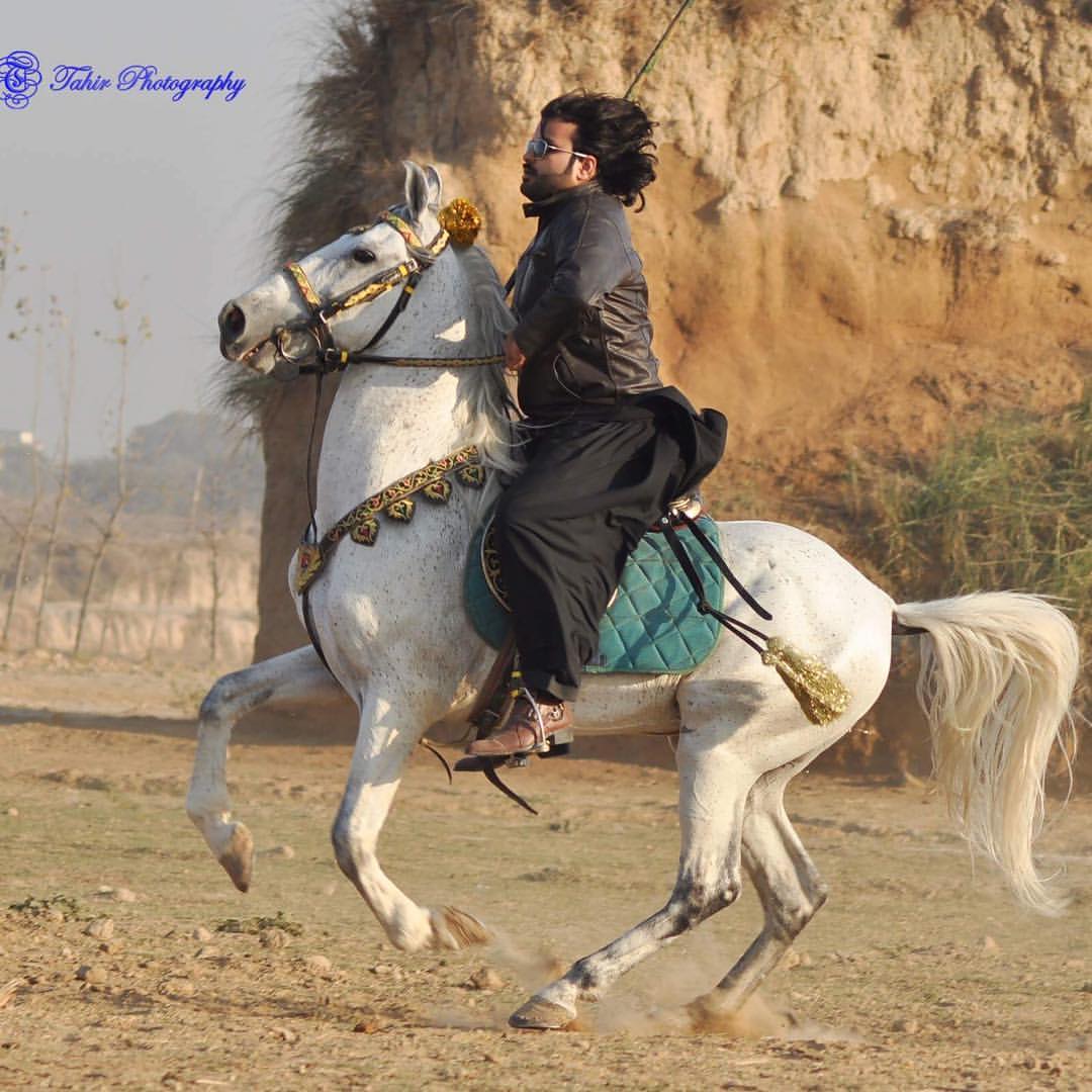 Miyaan Muhammad Laraib Mehfooz
