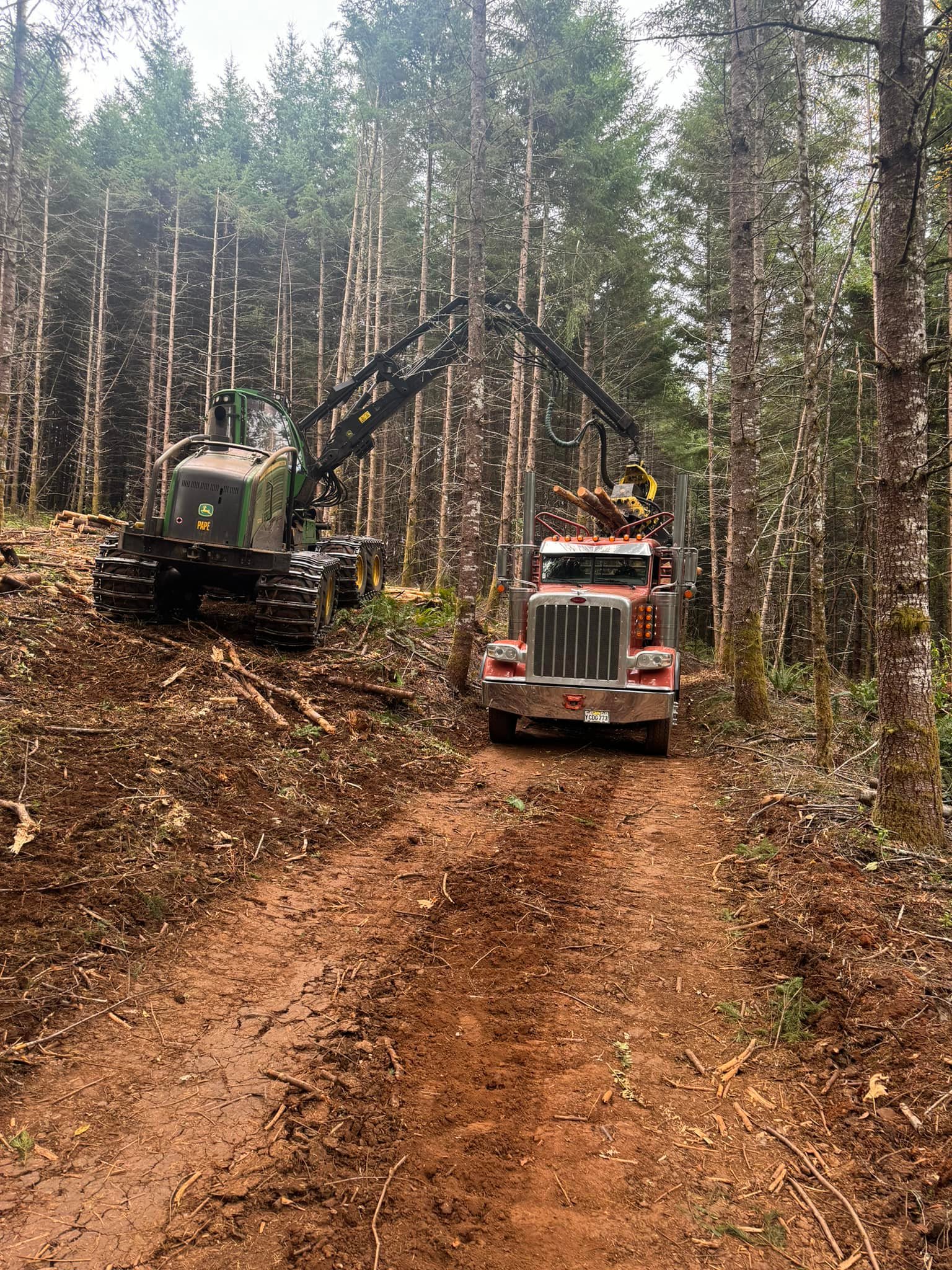 Fall Creek Logging | Grand Ronde OR