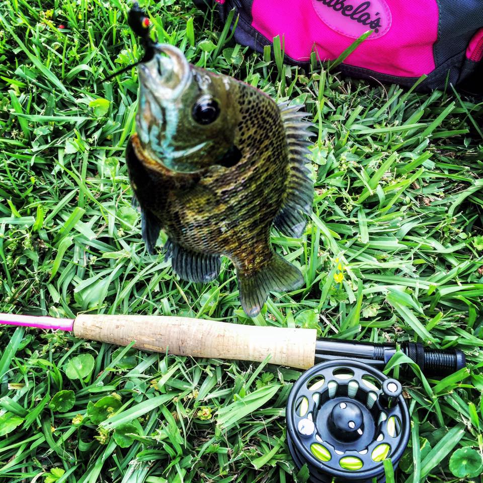 10 ft fishing pole Saltwater 20-40 Lb. Surf Rod Black Magic 10' around tenkara rod that Tatula WD-40 Fly Black 24 Model:SF2000SS-P