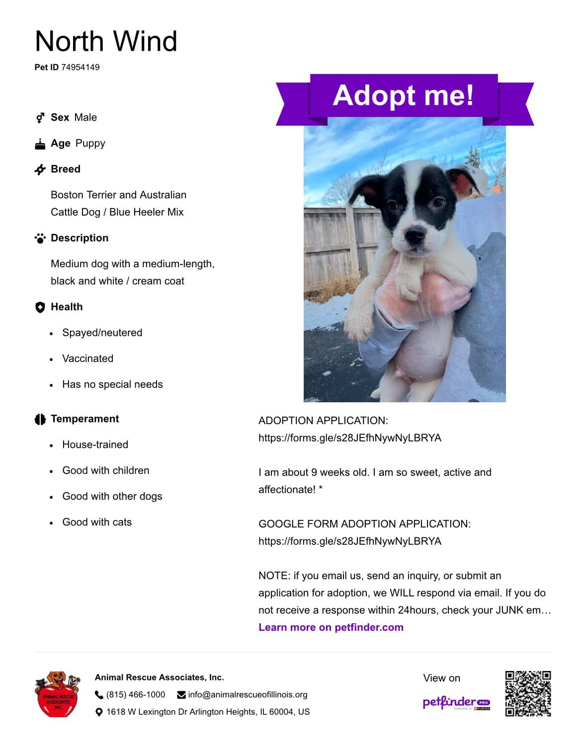 Animal Rescue Associates