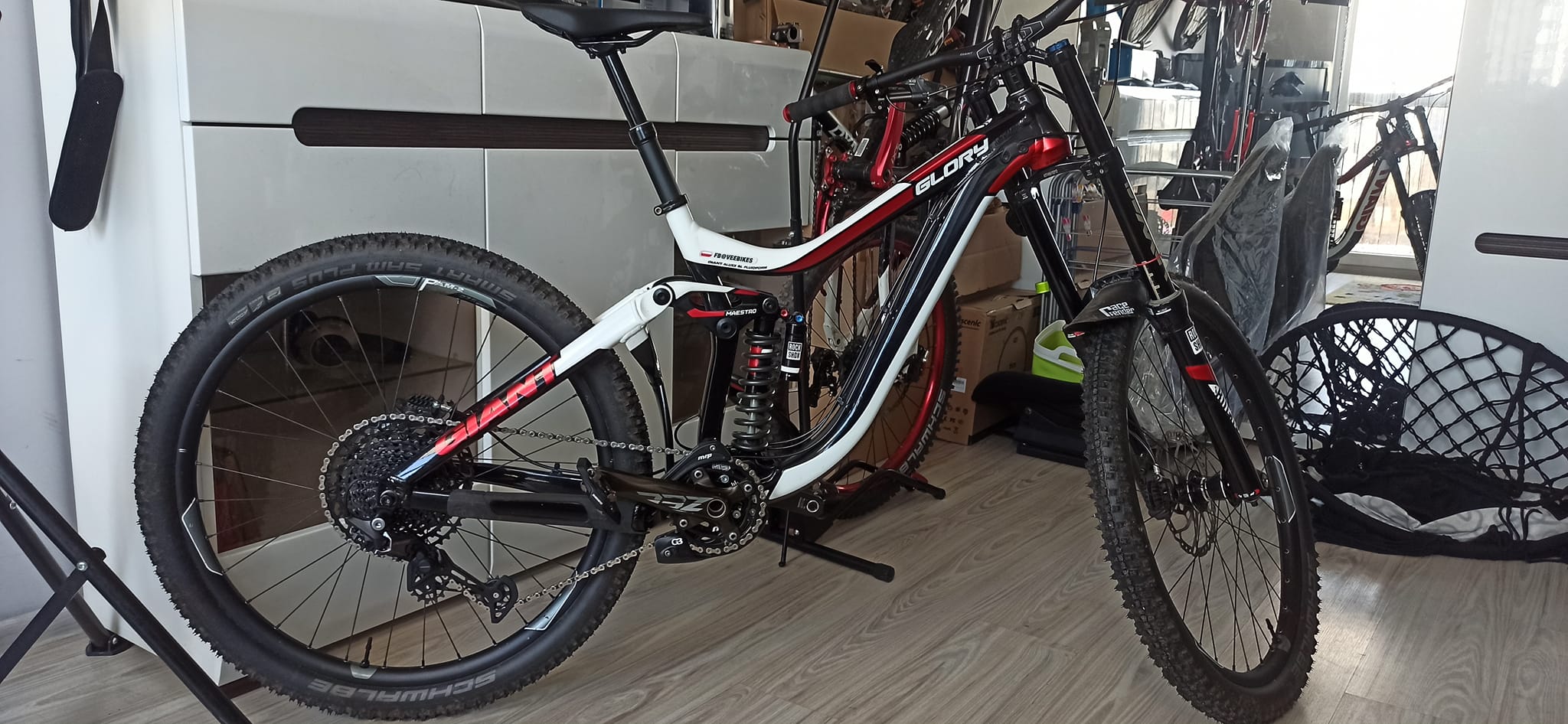 What year is my Giant Glory bike?