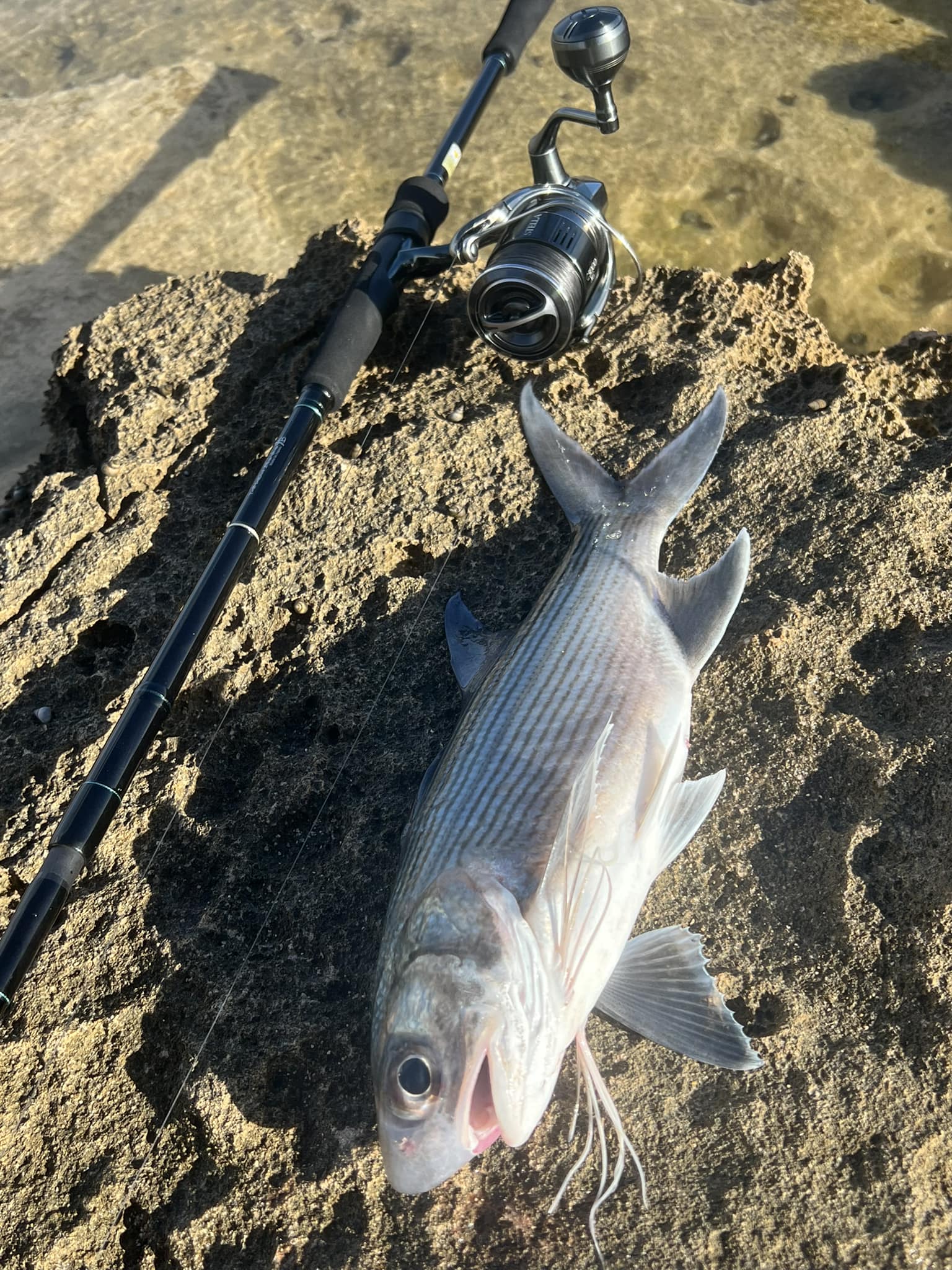 Has anyone tried the Yamaga Blanks Surf 99ml rod?