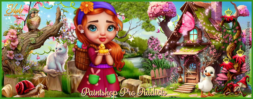 Paint Shop Pro Addicts | I'm using Paint Shop Pro 9 on a desktop PC ...