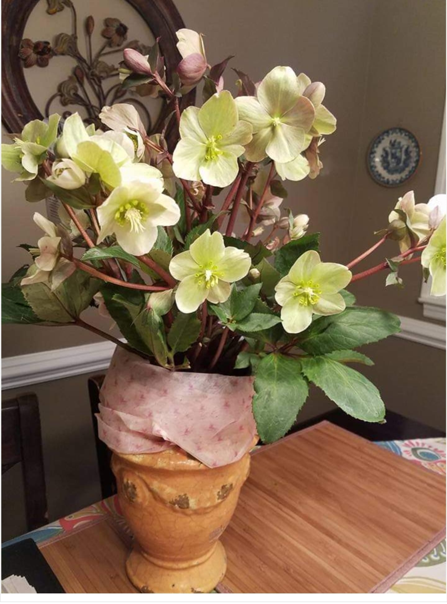 Is this a plant or a flower?” 🌿🌸