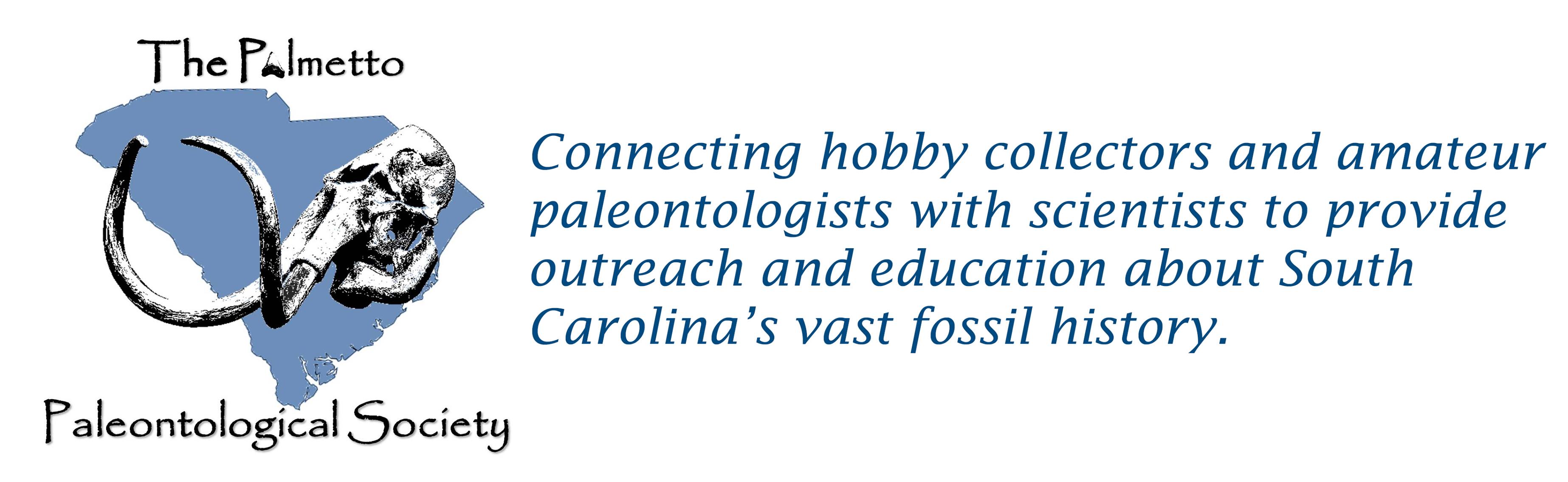 The Palmetto Paleontological Society | has anyone ever put shark teeth ...